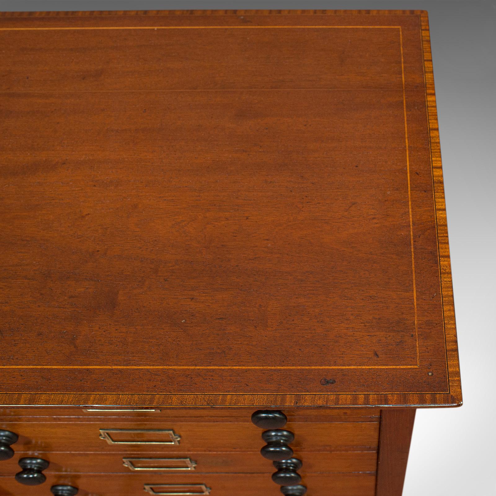 Antique Specimen Cabinet, English, Mahogany, Chest of Drawers, Shop, Edwardian 3