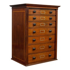Antique Specimen Cabinet, English, Mahogany, Chest of Drawers, Shop, Edwardian