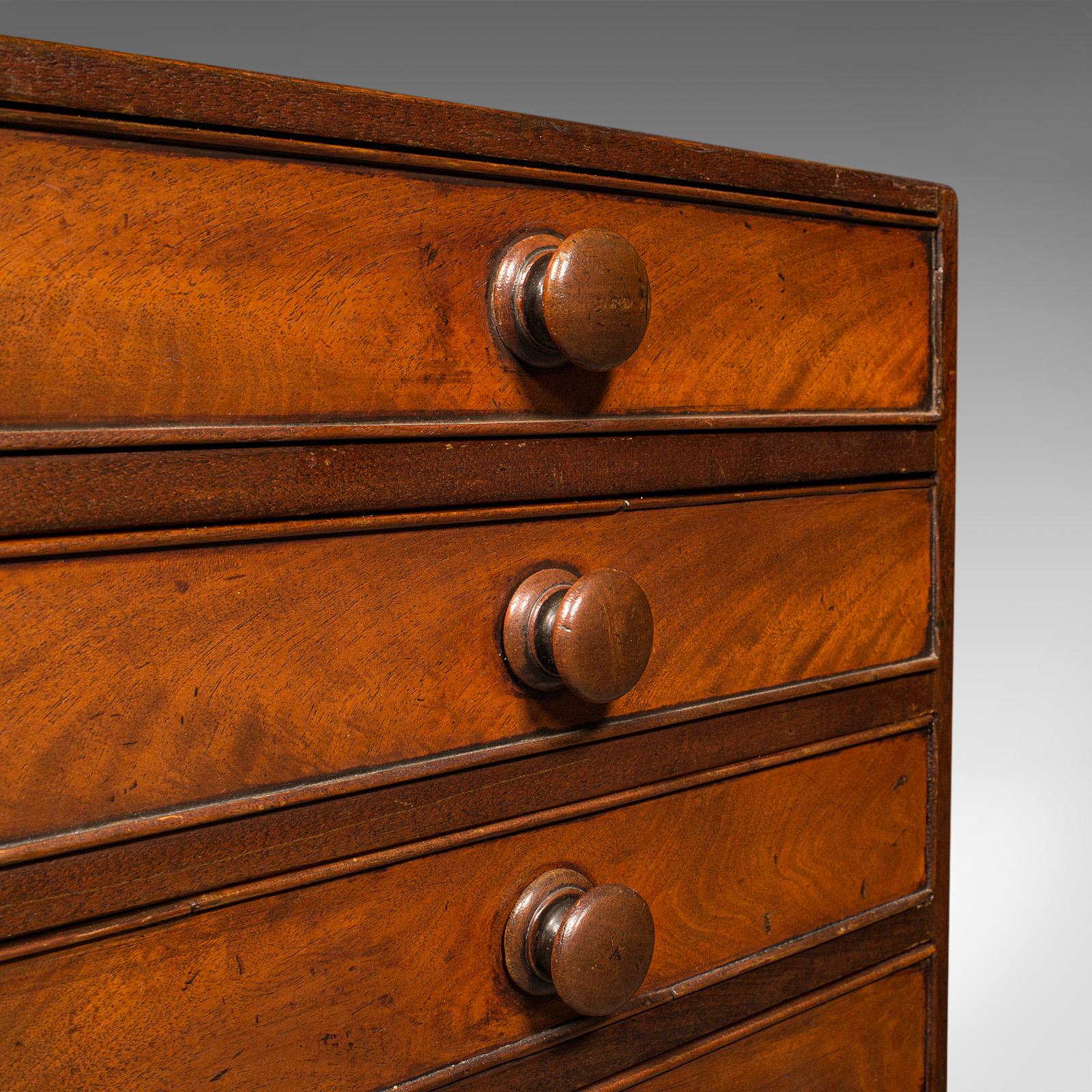 Antique Specimen Chest, English, Collector's Chest of Drawers, Georgian, C.1800 For Sale 4