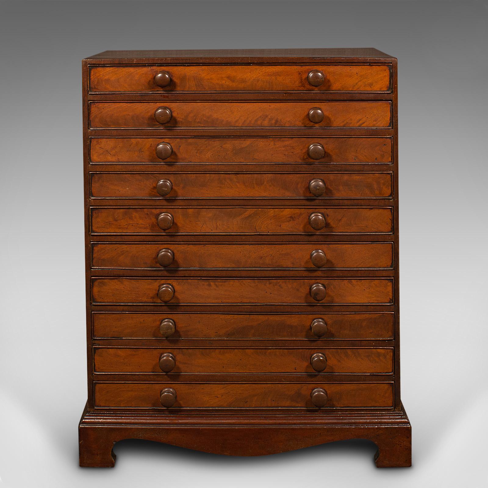 British Antique Specimen Chest, English, Collector's Chest of Drawers, Georgian, C.1800 For Sale