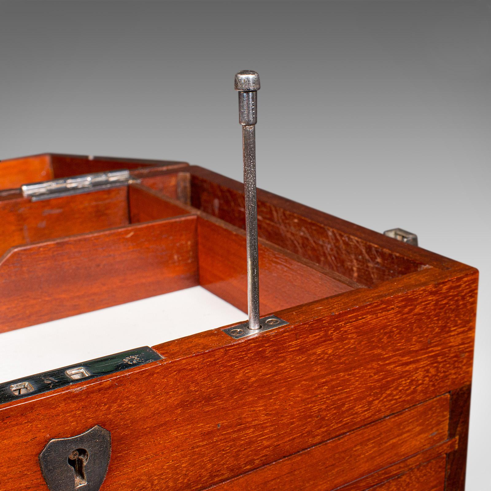 Antiquité - Commode de collectionneur de spécimens, anglaise, coffret d'artiste, édouardienne en vente 5