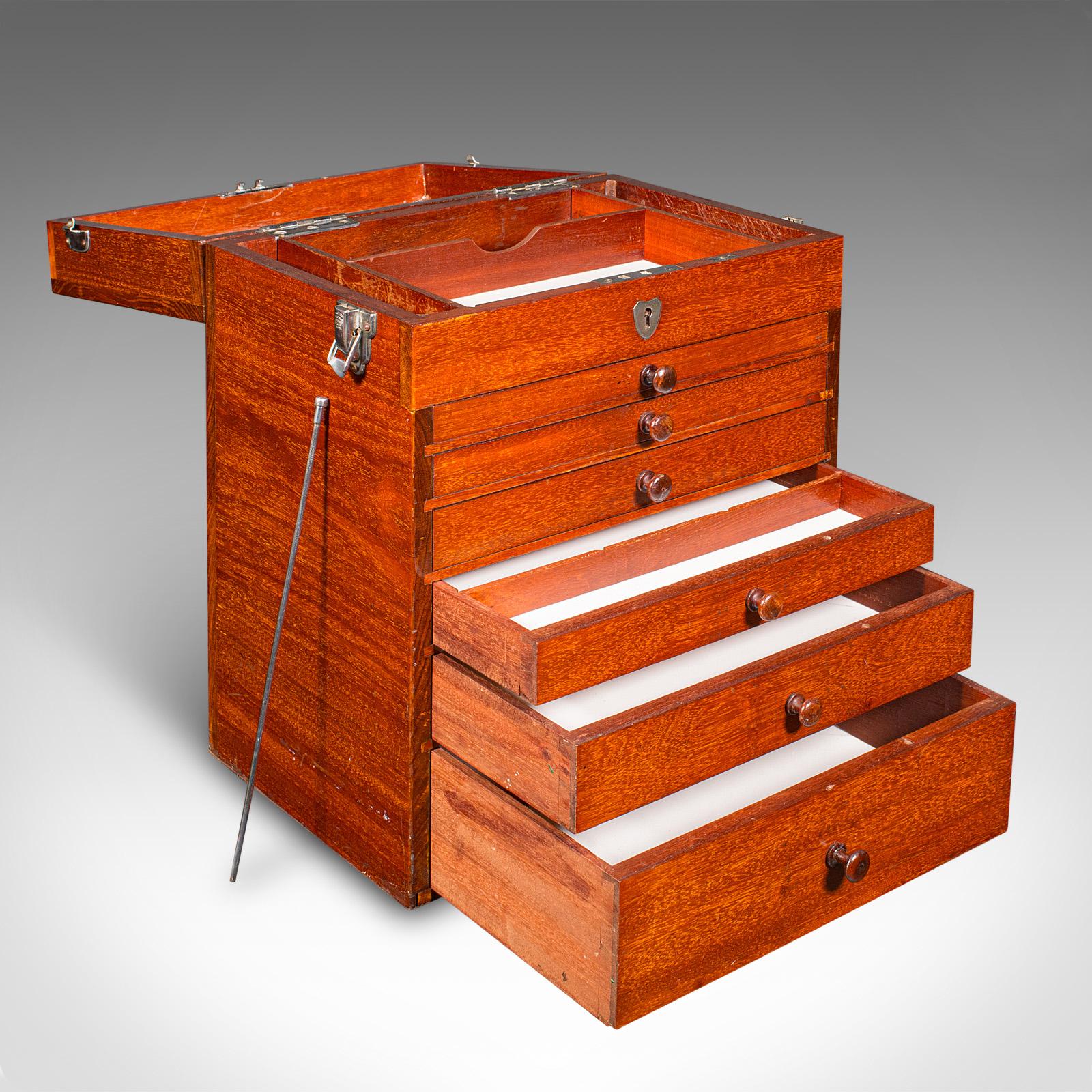 Édouardien Antiquité - Commode de collectionneur de spécimens, anglaise, coffret d'artiste, édouardienne en vente