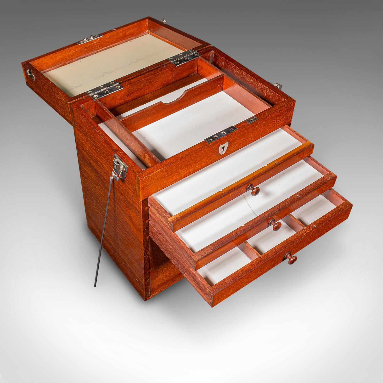 Antiquité - Commode de collectionneur de spécimens, anglaise, coffret d'artiste, édouardienne en vente 1