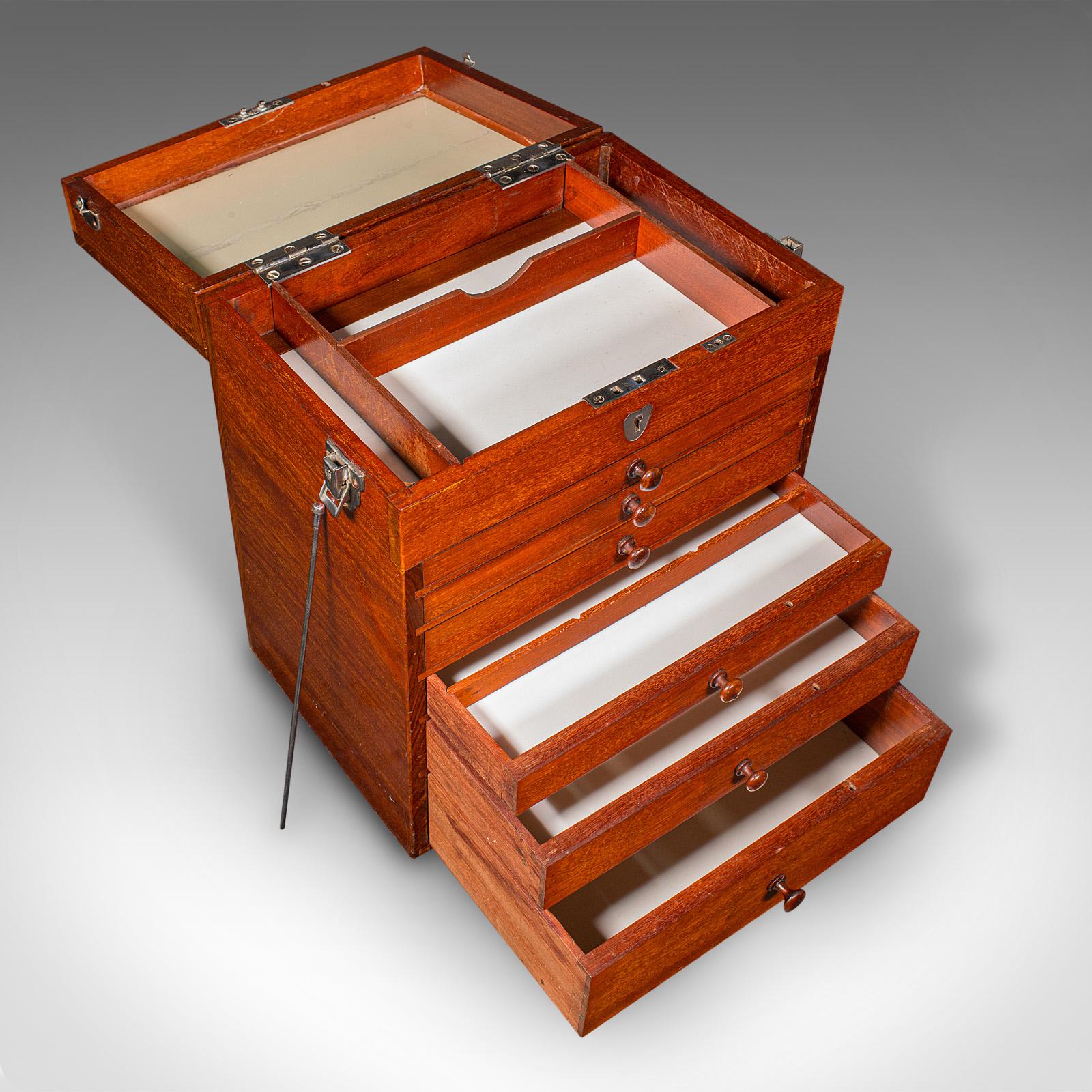 Antiquité - Commode de collectionneur de spécimens, anglaise, coffret d'artiste, édouardienne en vente 2