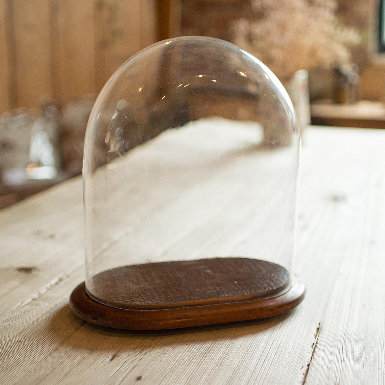 British Antique Specimen Display Dome, English Glass, Collector Showcase, Late Victorian
