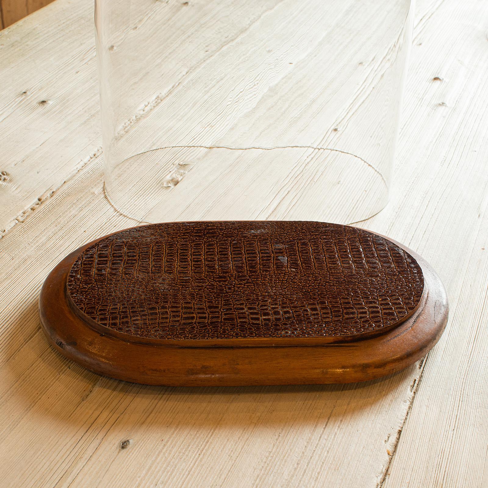 Antique Specimen Display Dome, English Glass, Collector Showcase, Late Victorian In Good Condition In Hele, Devon, GB