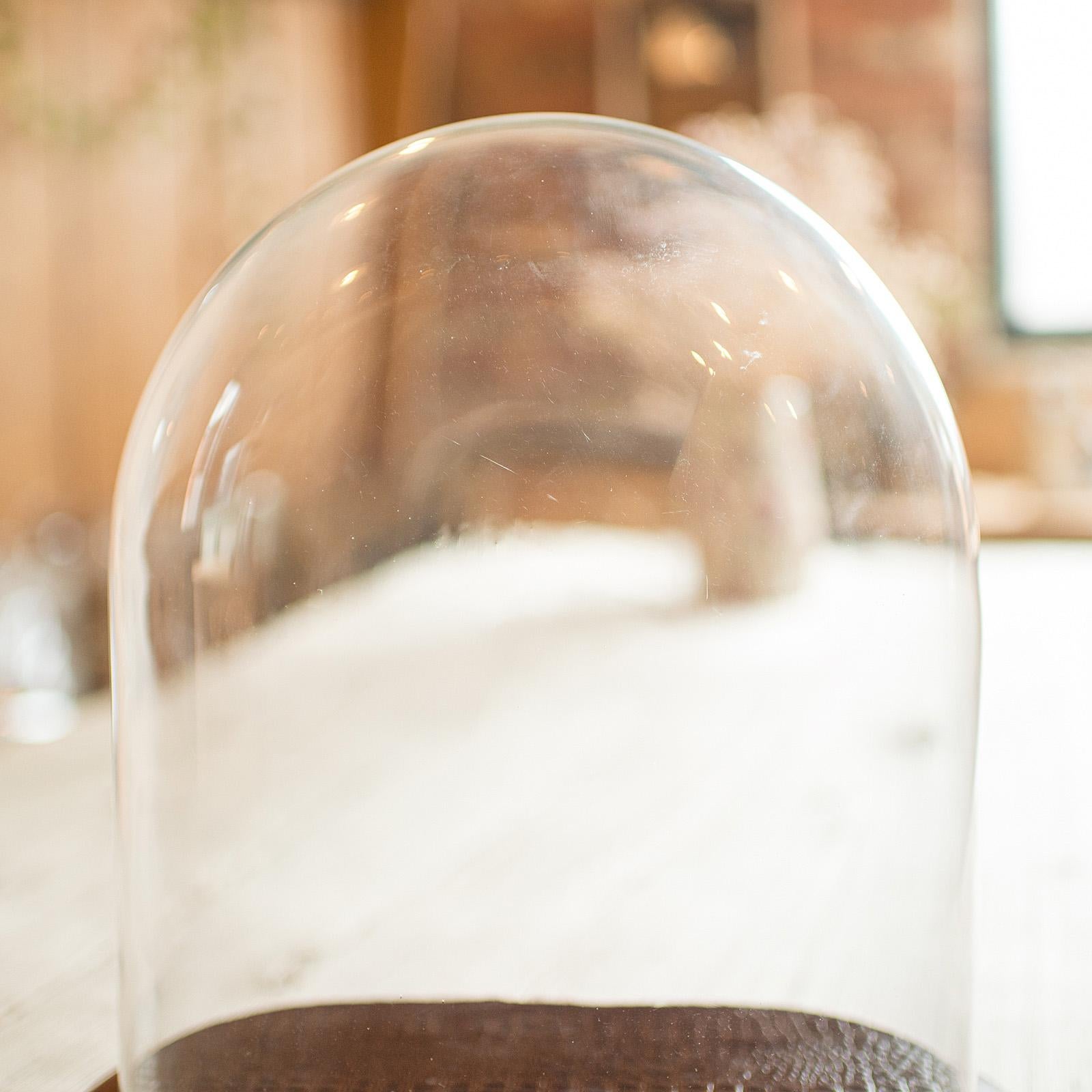19th Century Antique Specimen Display Dome, English Glass, Collector Showcase, Late Victorian