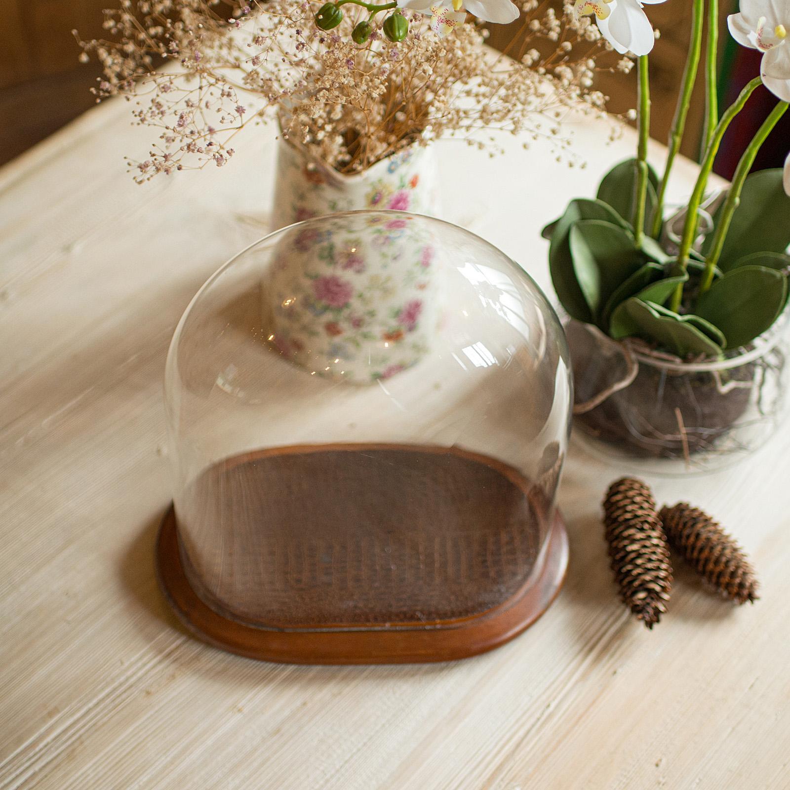 Antique Specimen Display Dome, English Glass, Collector Showcase, Late Victorian 3