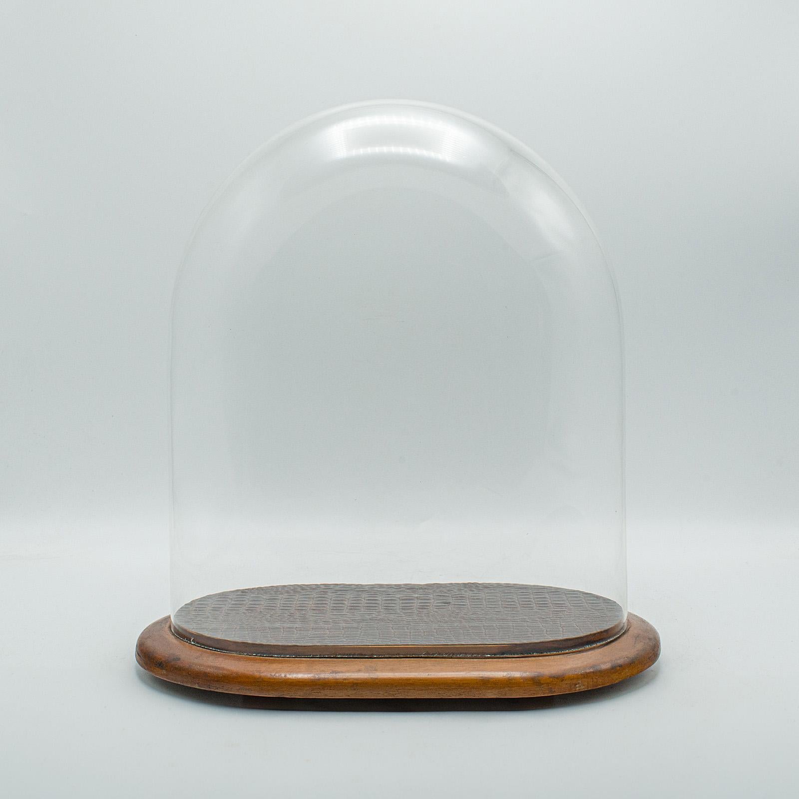 Antique Specimen Display Dome, English Glass, Collector Showcase, Late Victorian 4
