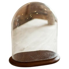 Antique Specimen Display Dome, English Glass, Collector Showcase, Late Victorian