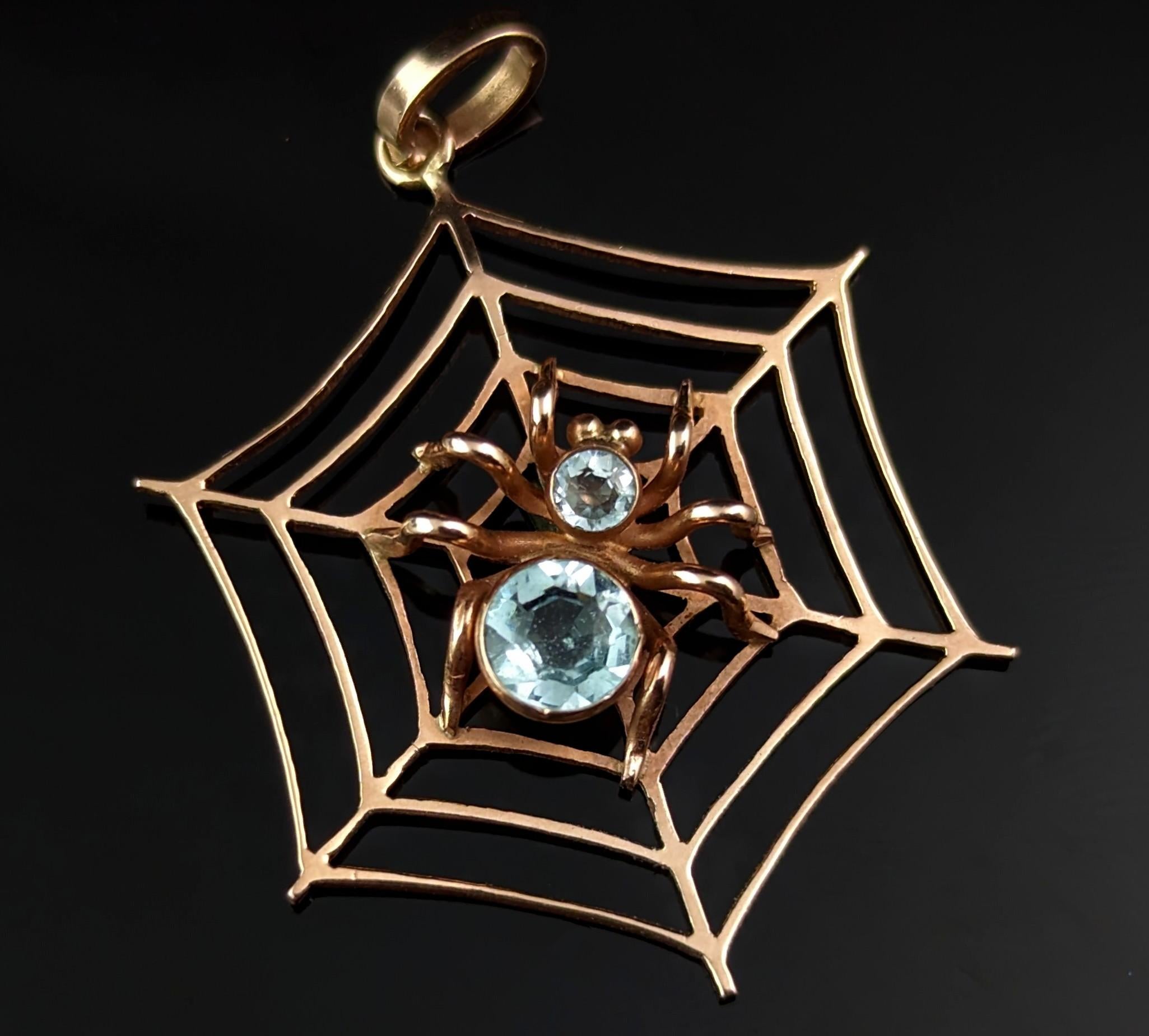 Spider lover or not you are bound to fall in love with this wonderful antique spider and spider web pendant.

The spider and spider web motifs are much harder to find in pendant form with most adorning brooches, the Victorian's began somewhat of an