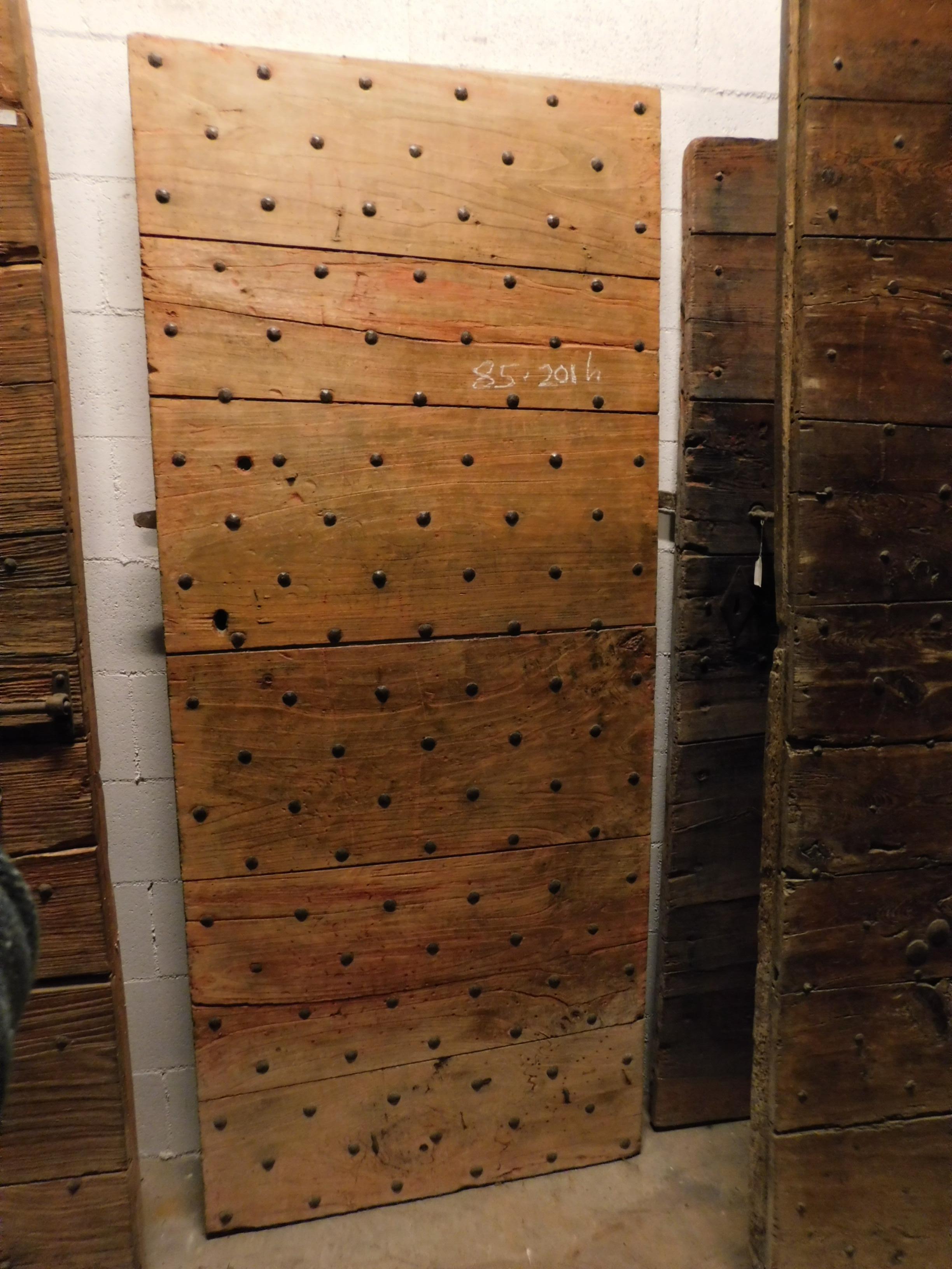 Antique Spiked Door in Poplar, 19th Century, Italy In Good Condition In Cuneo, Italy (CN)