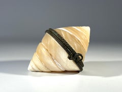 Antique Spiral Seashell Trinket Cache With Seahorse Clasp