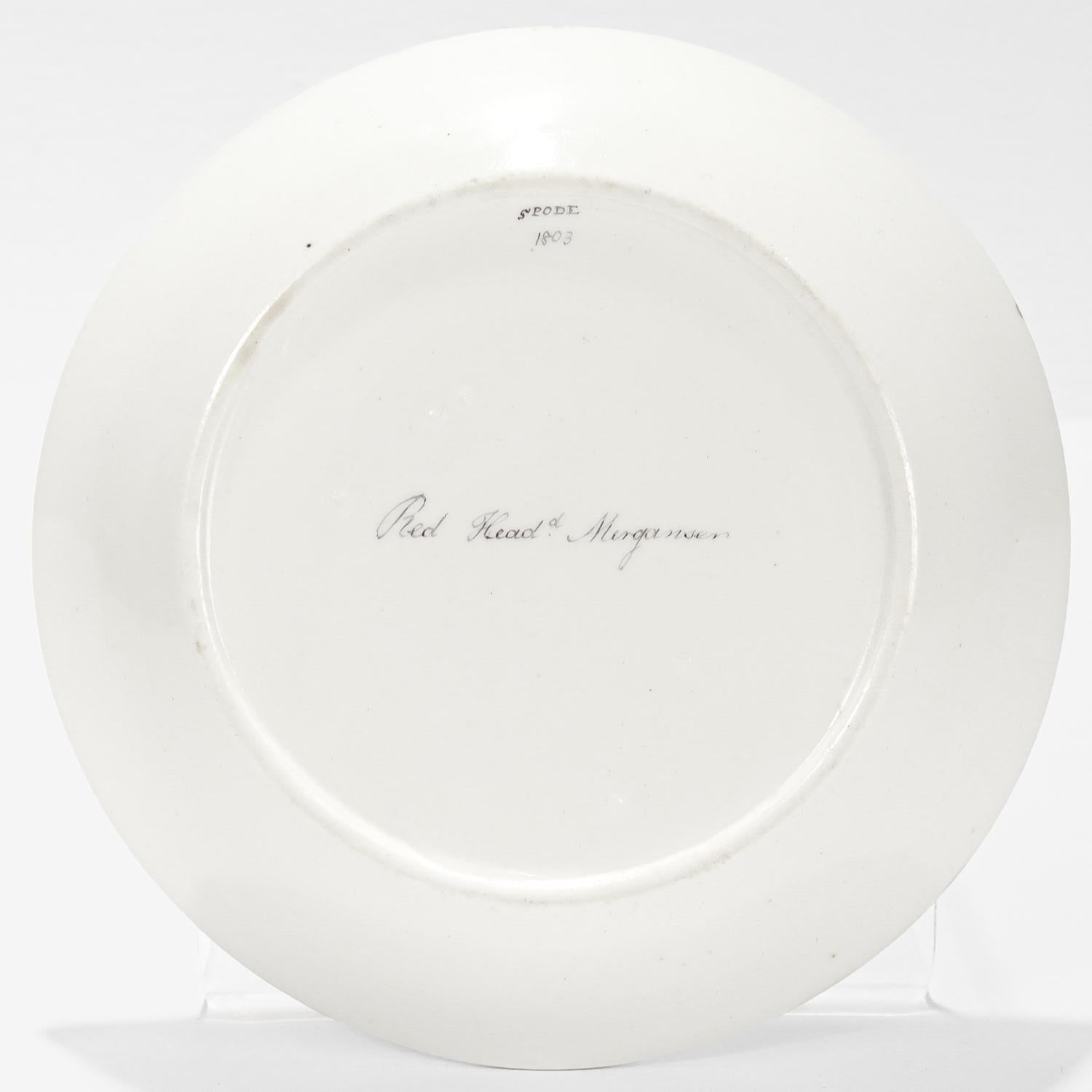 Taza y Plato Antiguos de Porcelana Spode Pintados a Mano Pato Ornitológico en venta 7