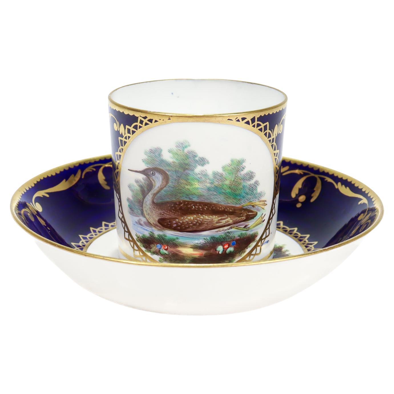 Taza y Plato Antiguos de Porcelana Spode Pintados a Mano Pato Ornitológico