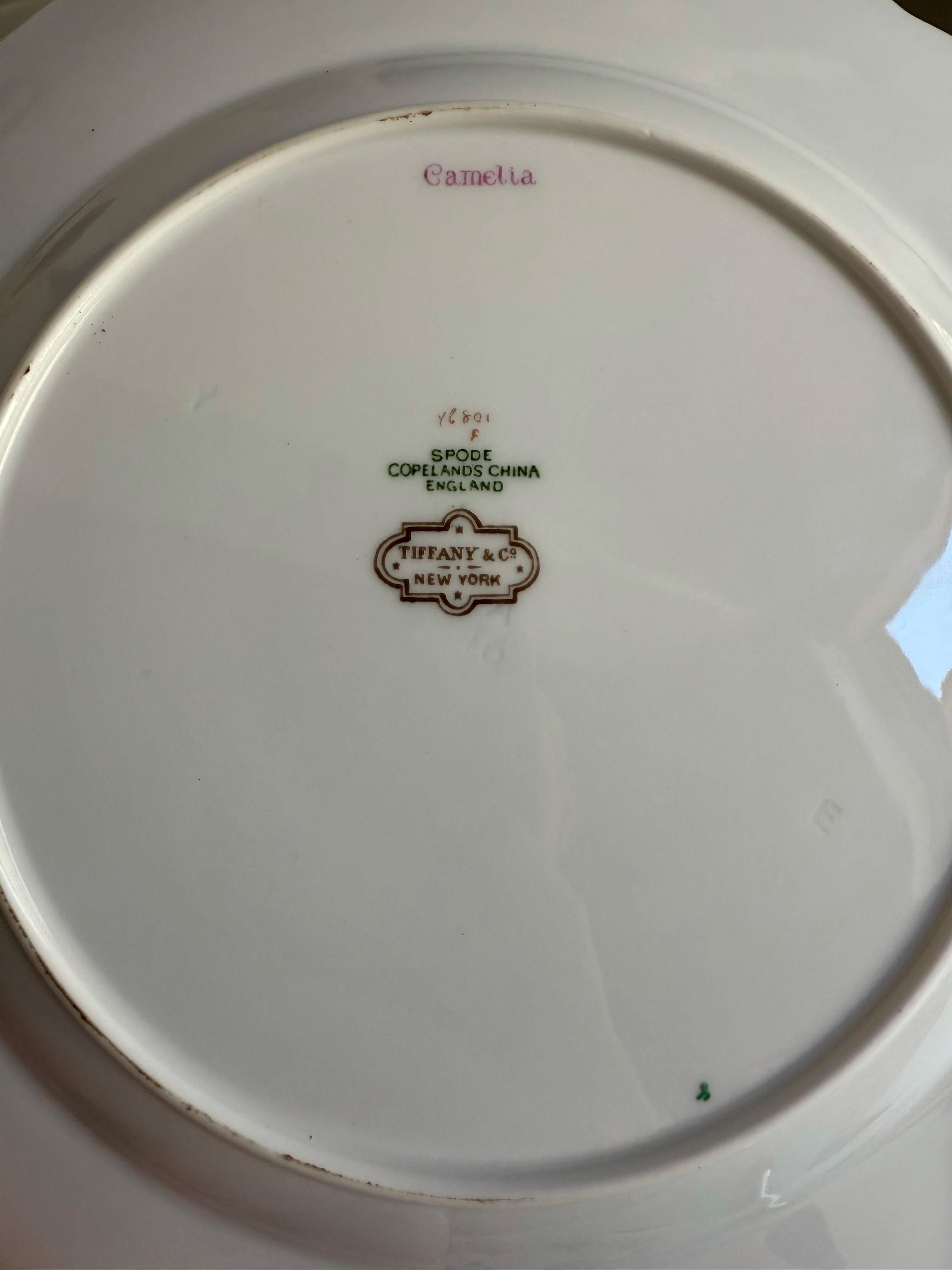 Antike Spode Tiffany & Co. Camelia Bemalte Teller- Set von 12 Tellern (20. Jahrhundert) im Angebot