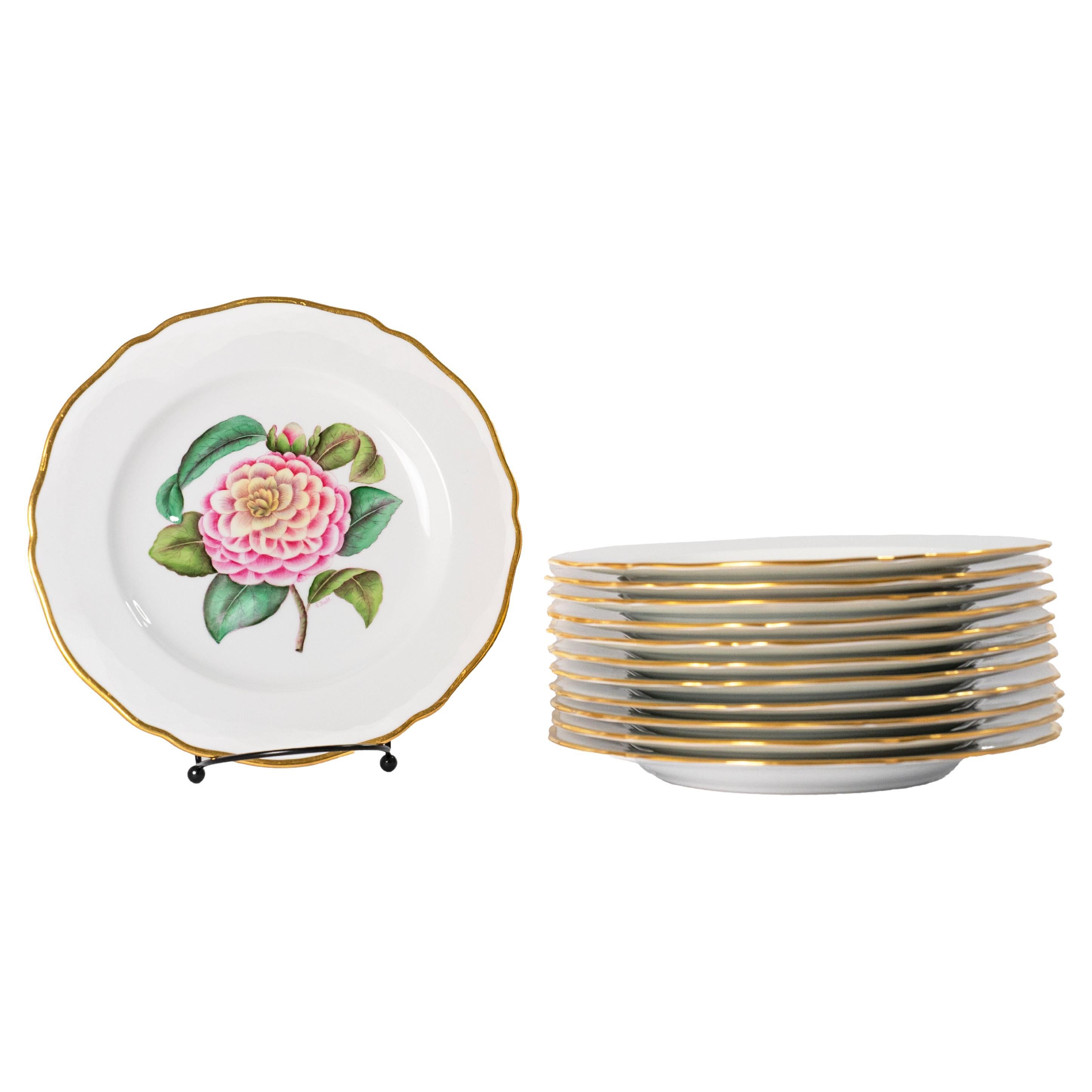 Antico Spode Tiffany & Co. Piatti dipinti Camelia - Set da 12