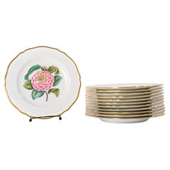 Antique Spode Tiffany & Co. Camelia Painted Plates- Set of 12