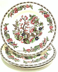 Staffordshire English Dinnerware "the India Tree" by, Alfred Meakin Set of 14