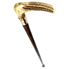 Antique Stag Horn Handle American Walking Stick Circa 1900