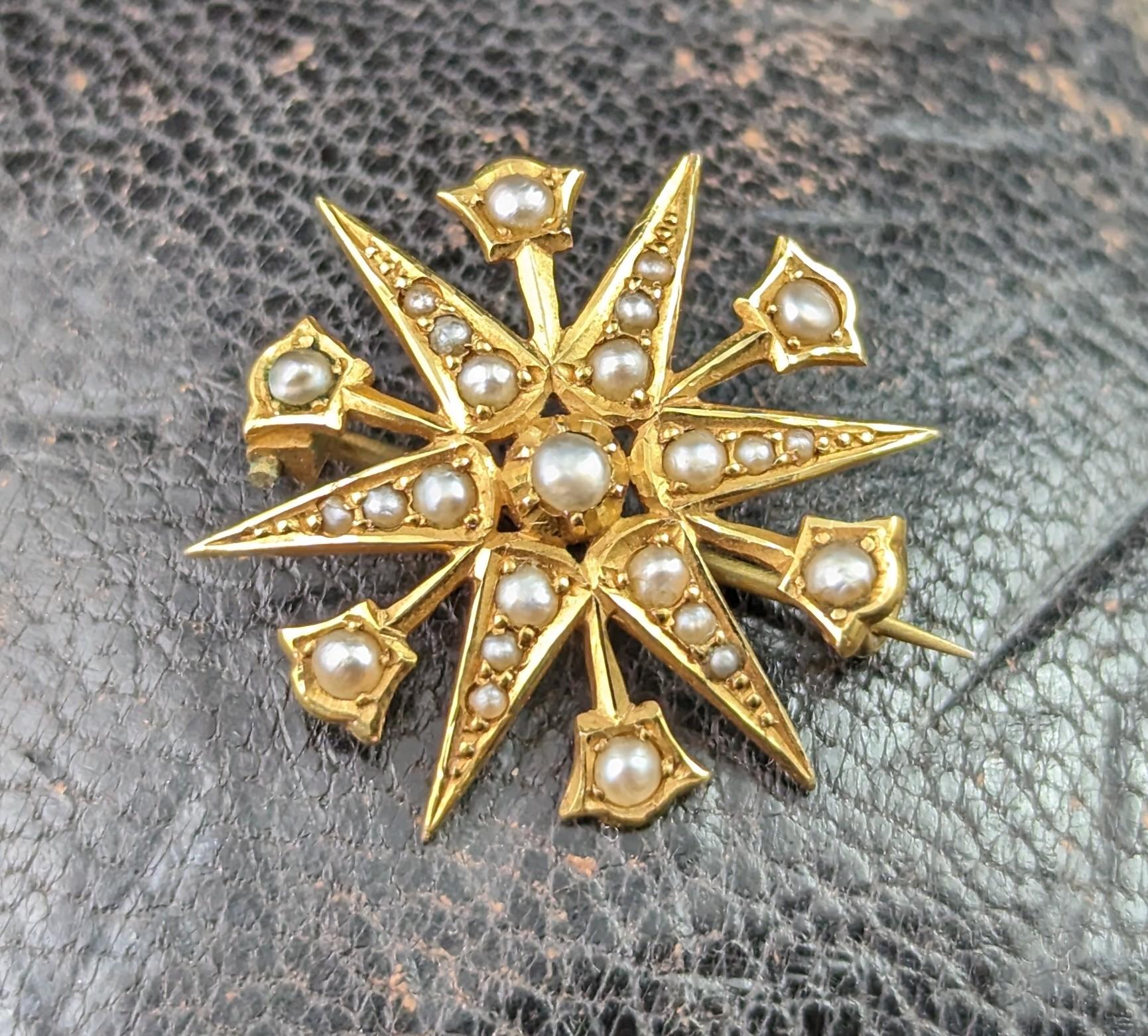 Women's or Men's Antique Star brooch, 15k yellow gold, Pearl, Starburst 
