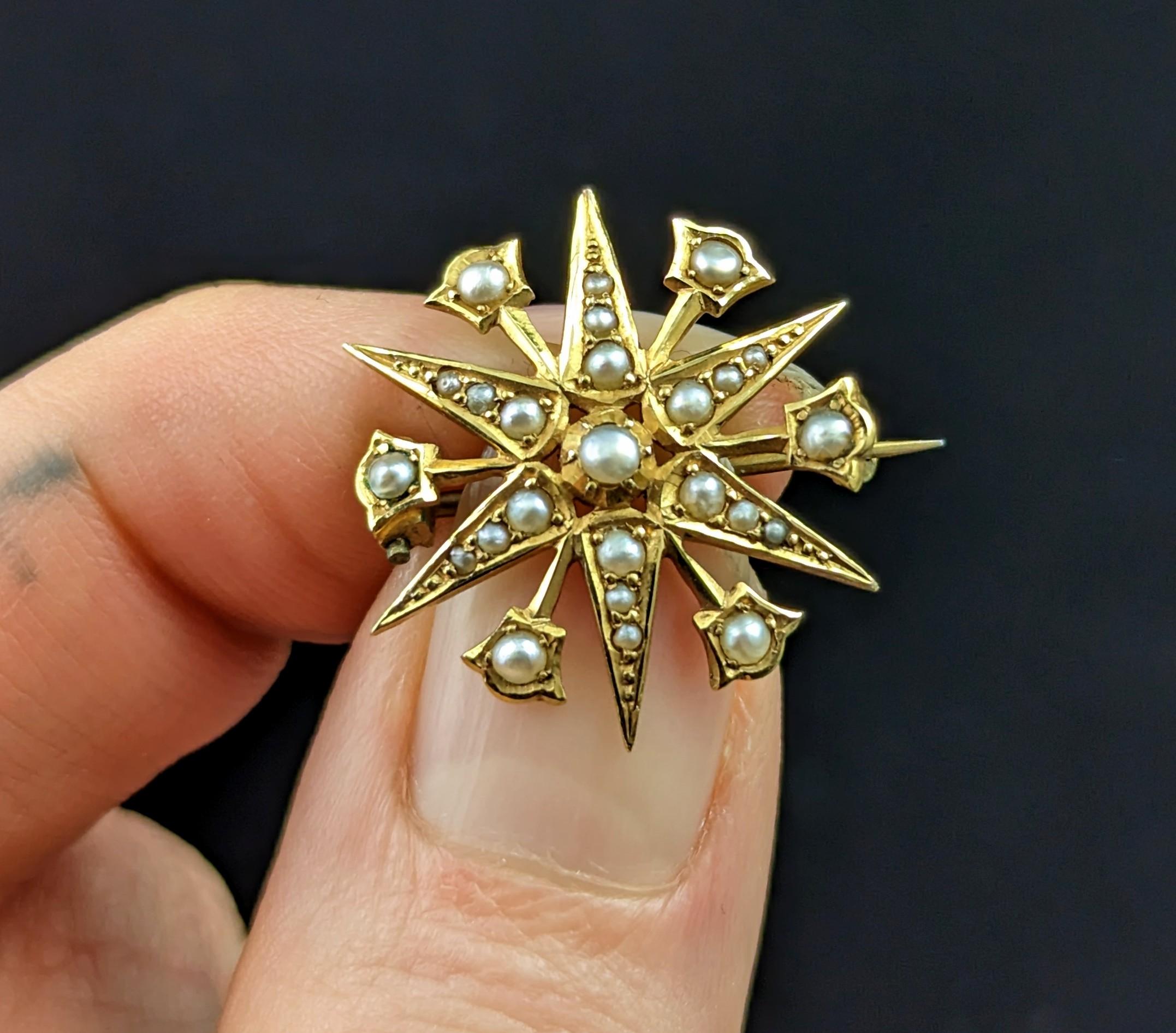 Antique Star brooch, 15k yellow gold, Pearl, Starburst  1