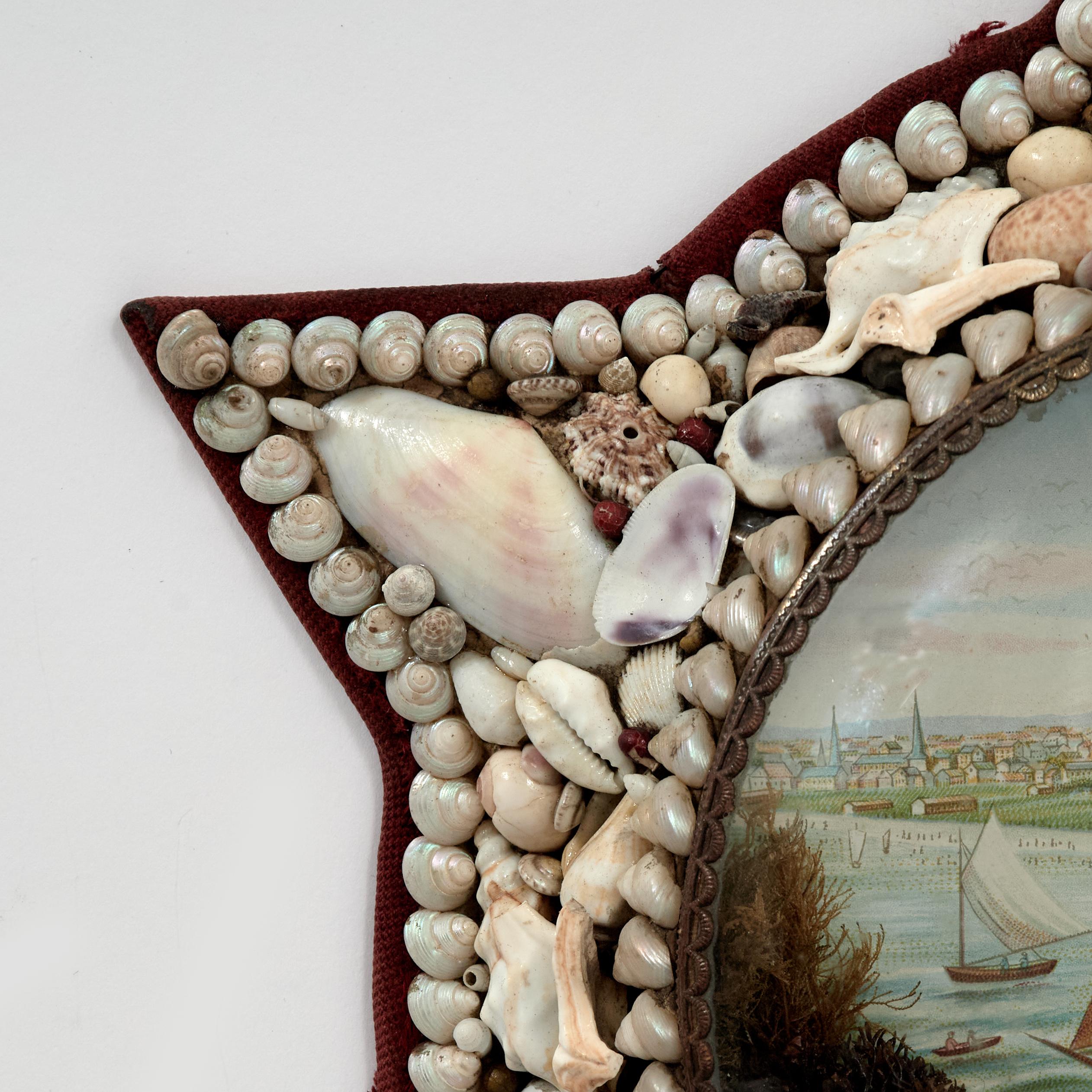 Alluring antique sailors valentine crafted in a star form and ambitiously hand decorated with exotic seashells inside and out, around a picture of sailboats in a bay as seen through the convex glass lens.