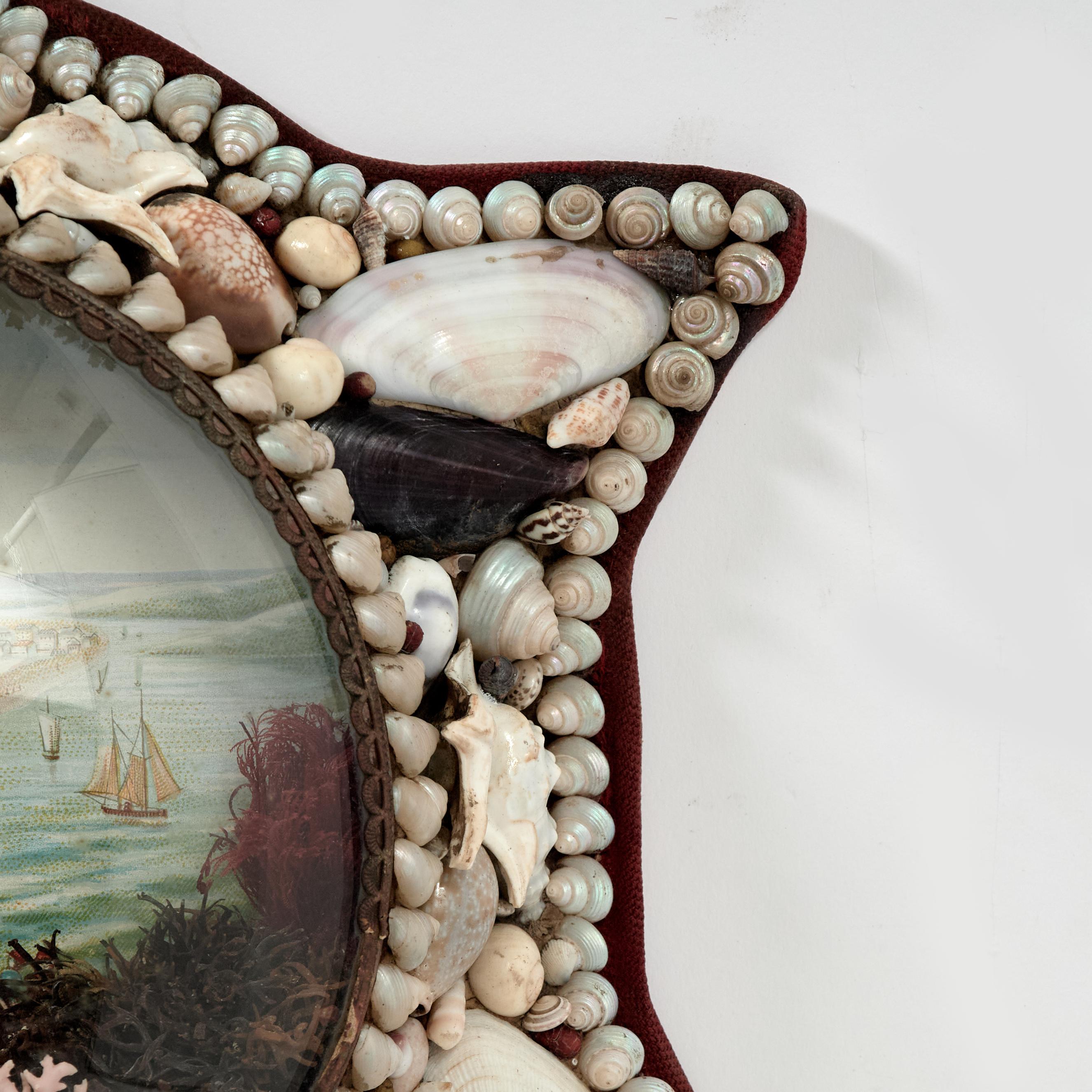 English Antique Star Form Sailors Valentine For Sale