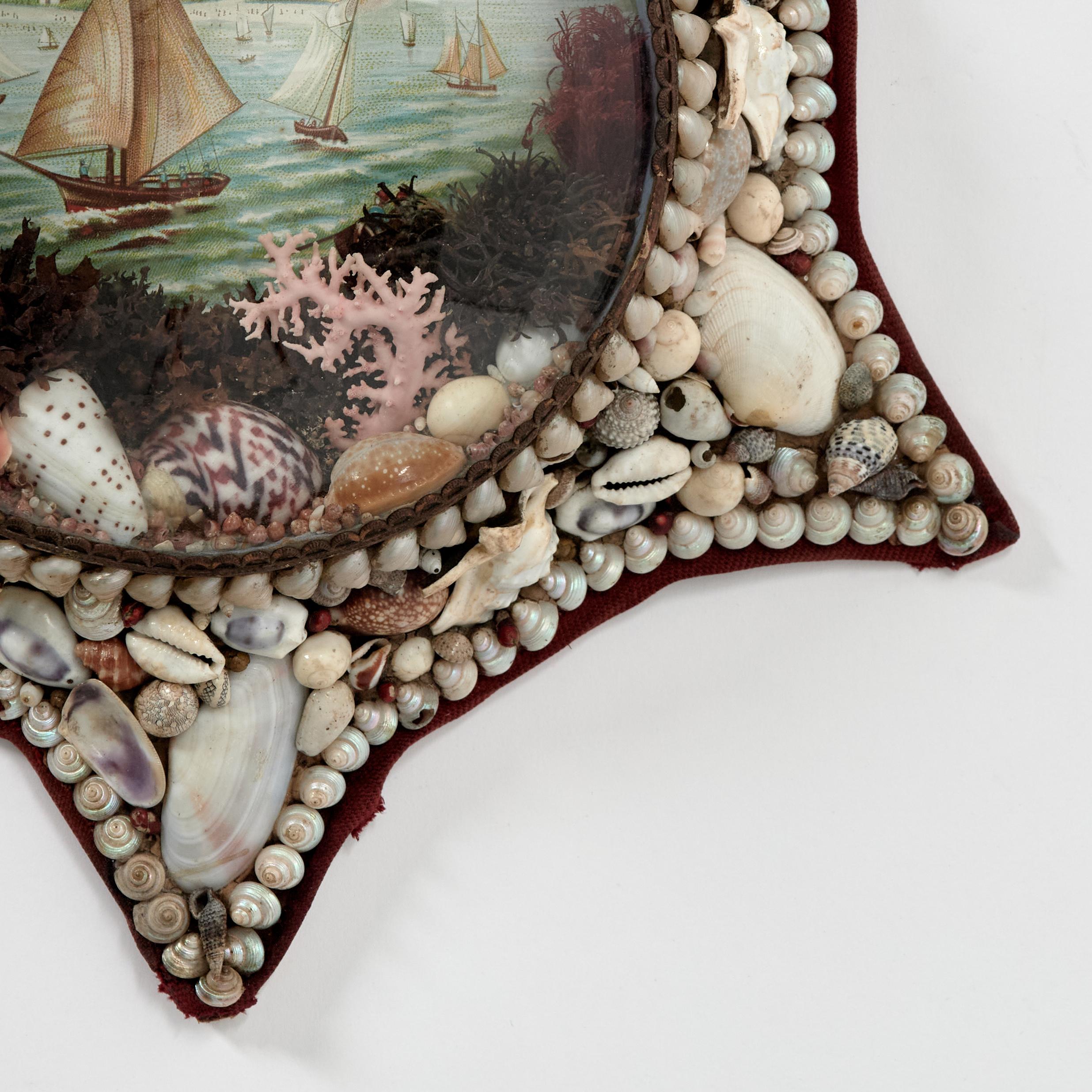20th Century Antique Star Form Sailors Valentine For Sale
