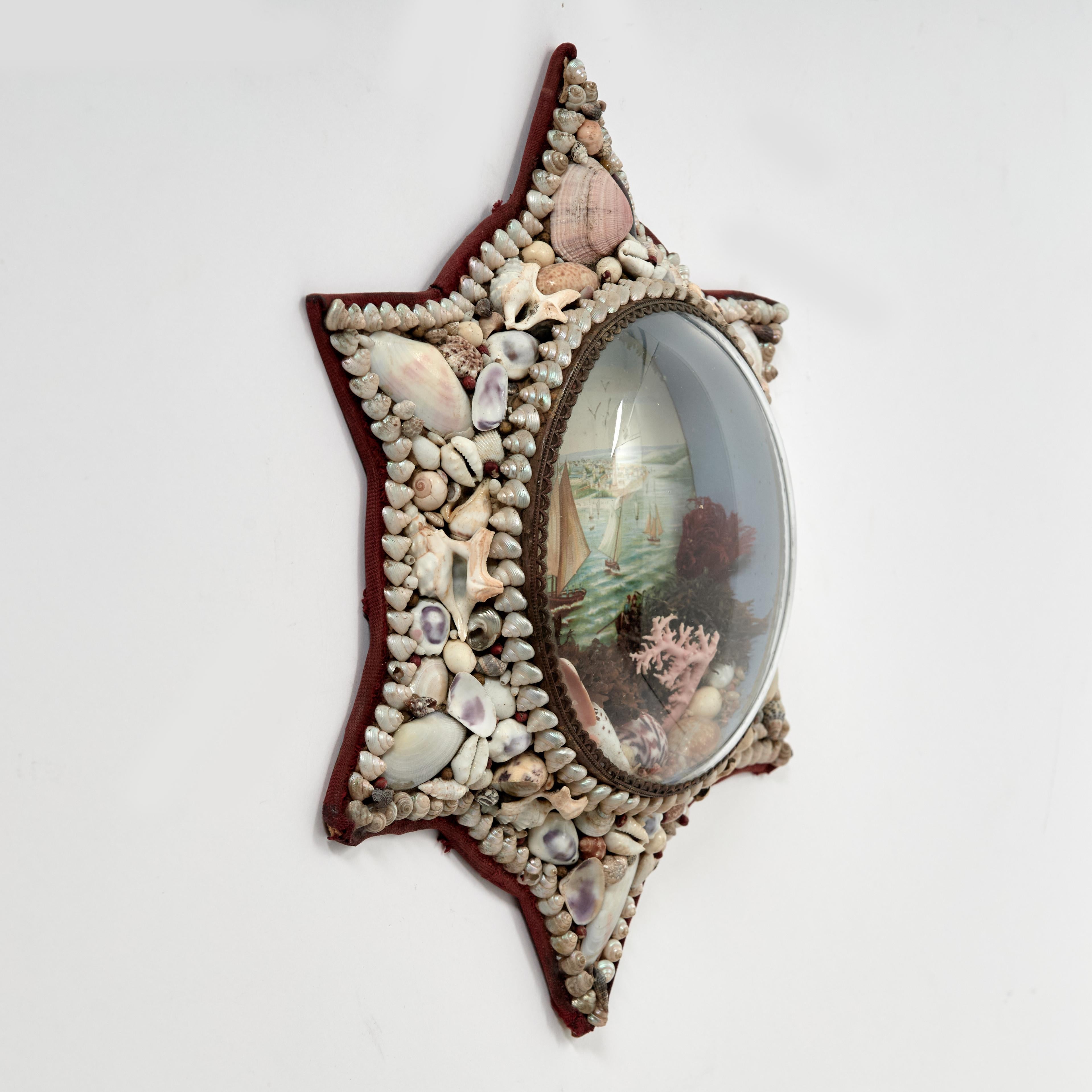 Shell Antique Star Form Sailors Valentine For Sale