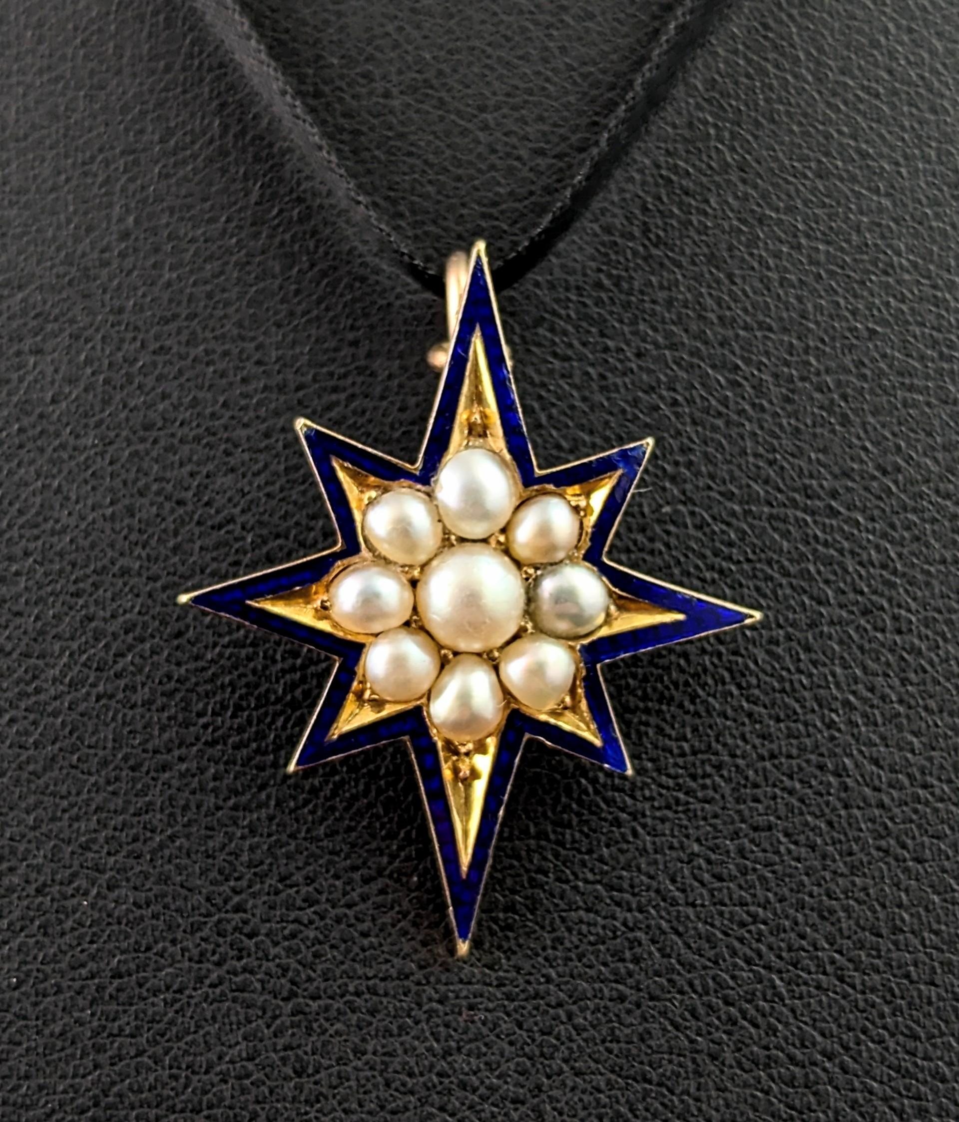 Un magnifique et symbolique pendentif en forme d'étoile polaire victorienne.

L'étoile polaire était connue pour représenter la guidance et le soutien tout au long des voyages de la vie, elle offre une direction et un rappel pour rester fidèle à