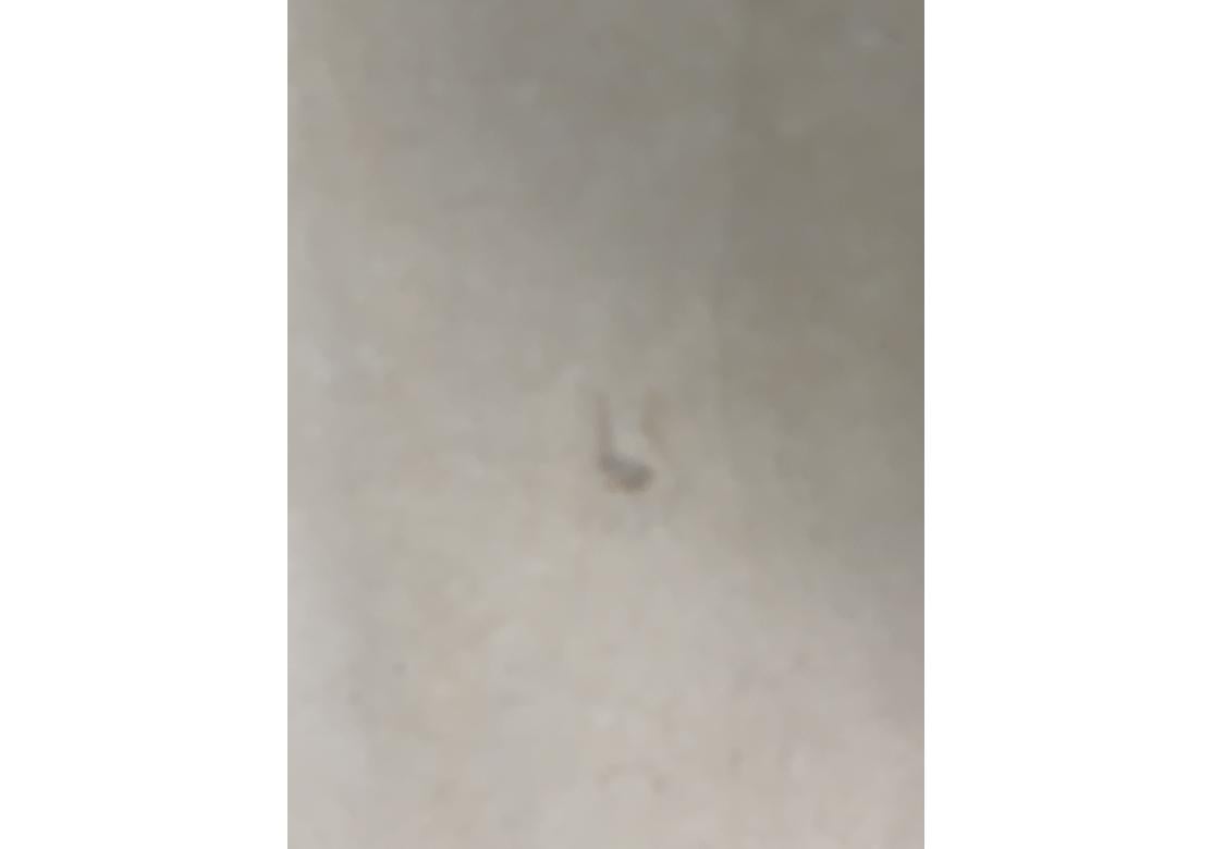 Antique plat Statfordshire avec guerriers de temple en vente 3