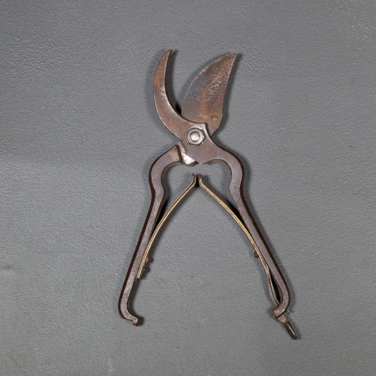 ABOUT

Vintage steel parrot beak pruning shears with brass spring-loaded handle and lock. 

    CREATOR  P.S. & W. Co. Pexto, Cleveland, OH.
    DATE OF MANUFACTURE c.1920.
    MATERIALS AND TECHNIQUES Steel, Brass. 
    CONDITION Good. Wear