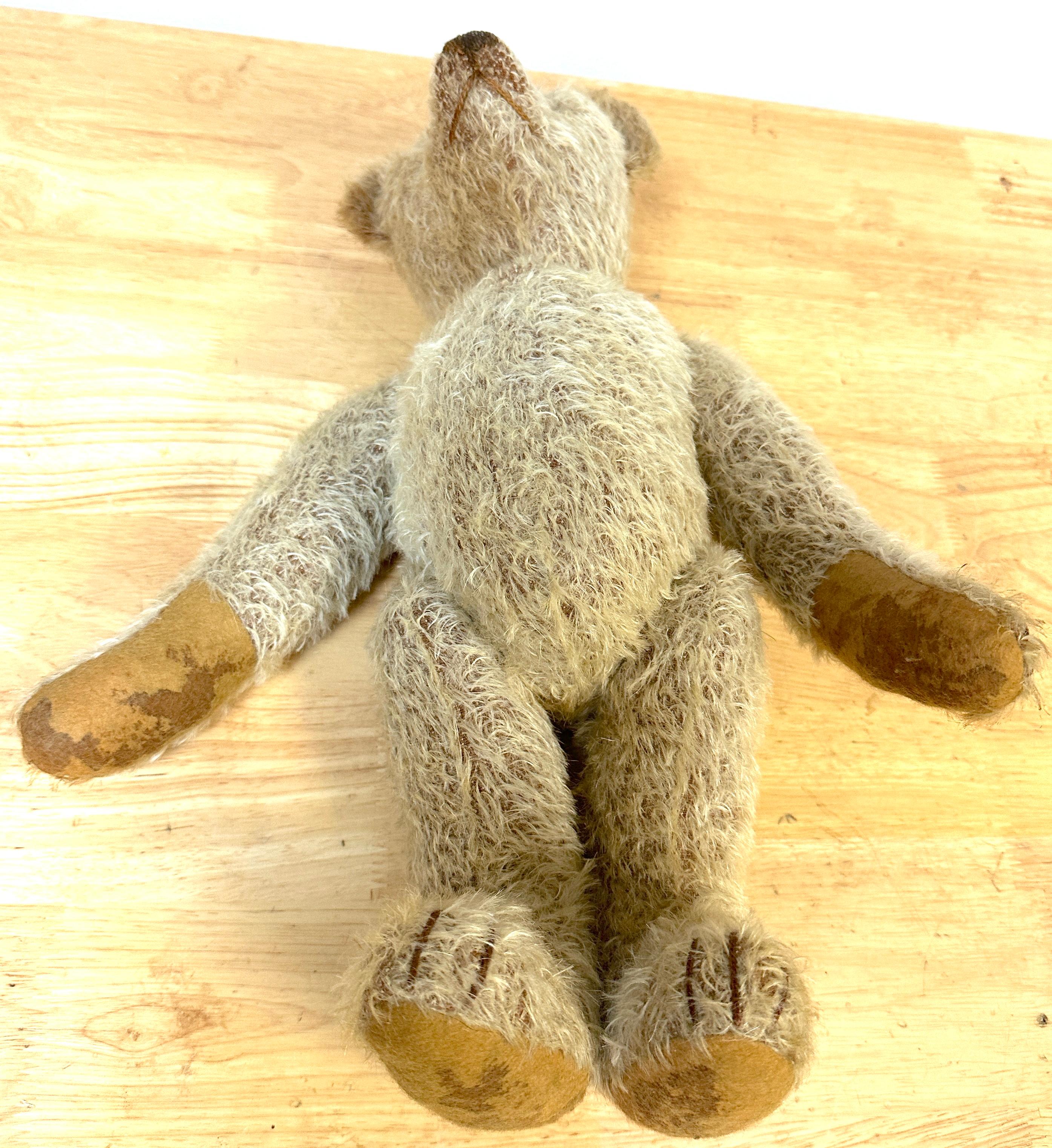 Antique Steiff Long Hair Gold Mohair Teddy Bear ' Alastair' , C. 1900s For Sale 6