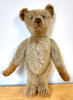 Antiker Steiff Langer Haar Gold Mohair Teddybär ' Alastair' aus Mohair, ca. 1900er Jahre