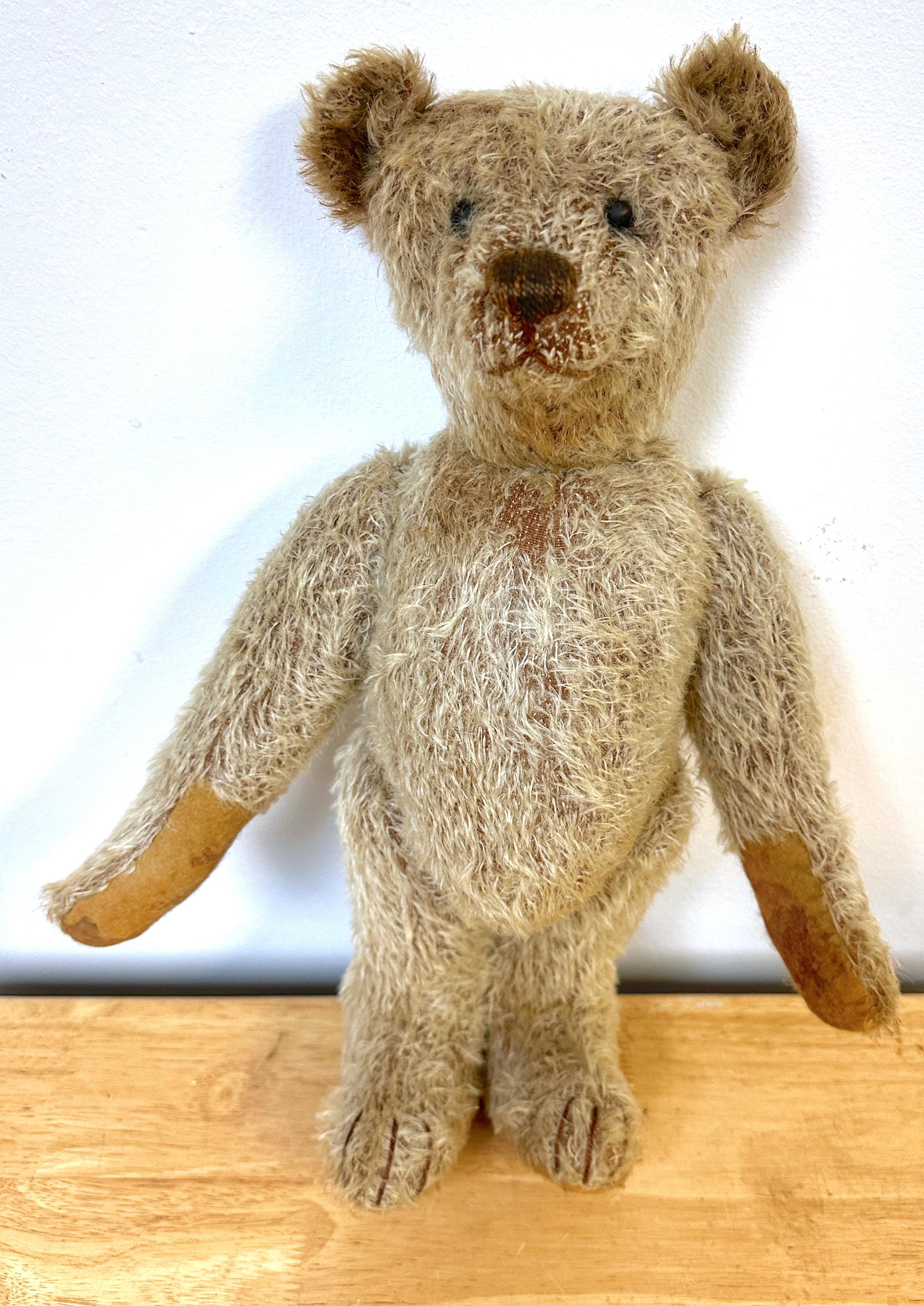 German Antique Steiff Long Hair Gold Mohair Teddy Bear ' Alastair' , C. 1900s For Sale