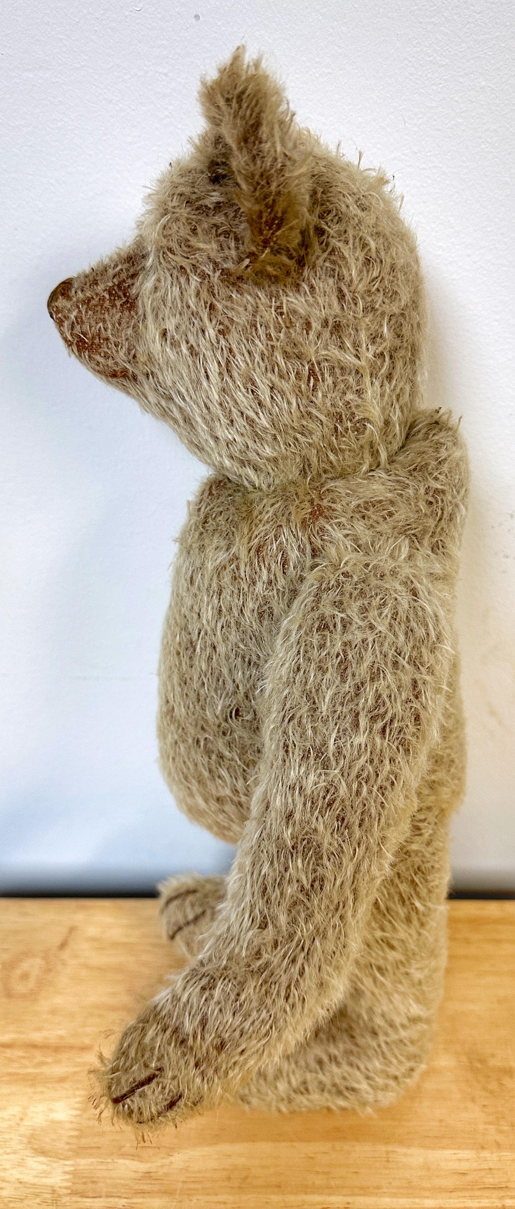 Antique Steiff Long Hair Gold Mohair Teddy Bear ' Alastair' , C. 1900s For Sale 1