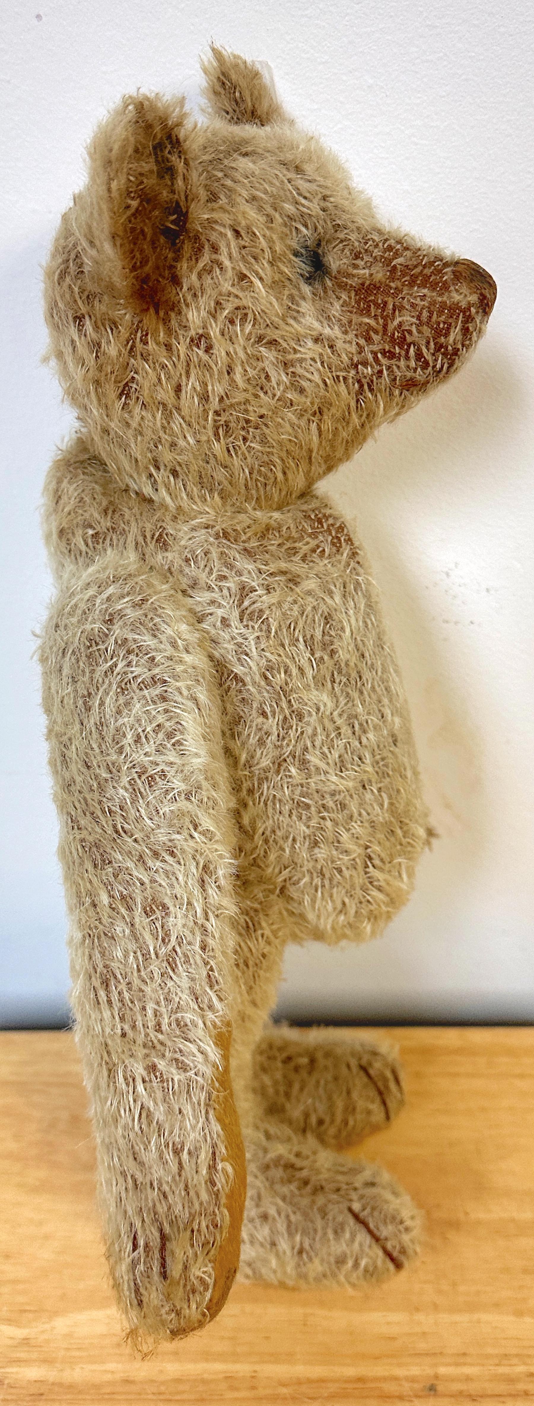 Antique Steiff Long Hair Gold Mohair Teddy Bear ' Alastair' , C. 1900s For Sale 3