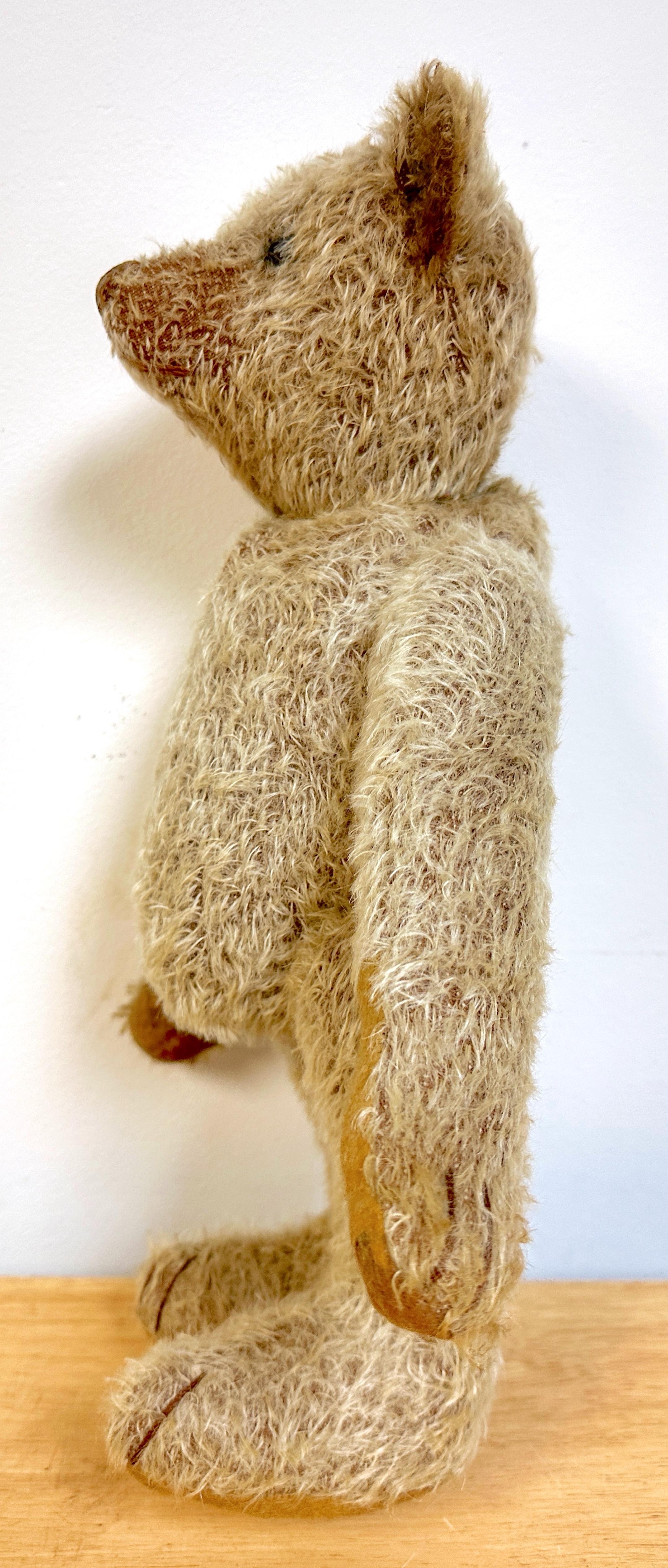Antique Steiff Long Hair Gold Mohair Teddy Bear ' Alastair' , C. 1900s For Sale 4