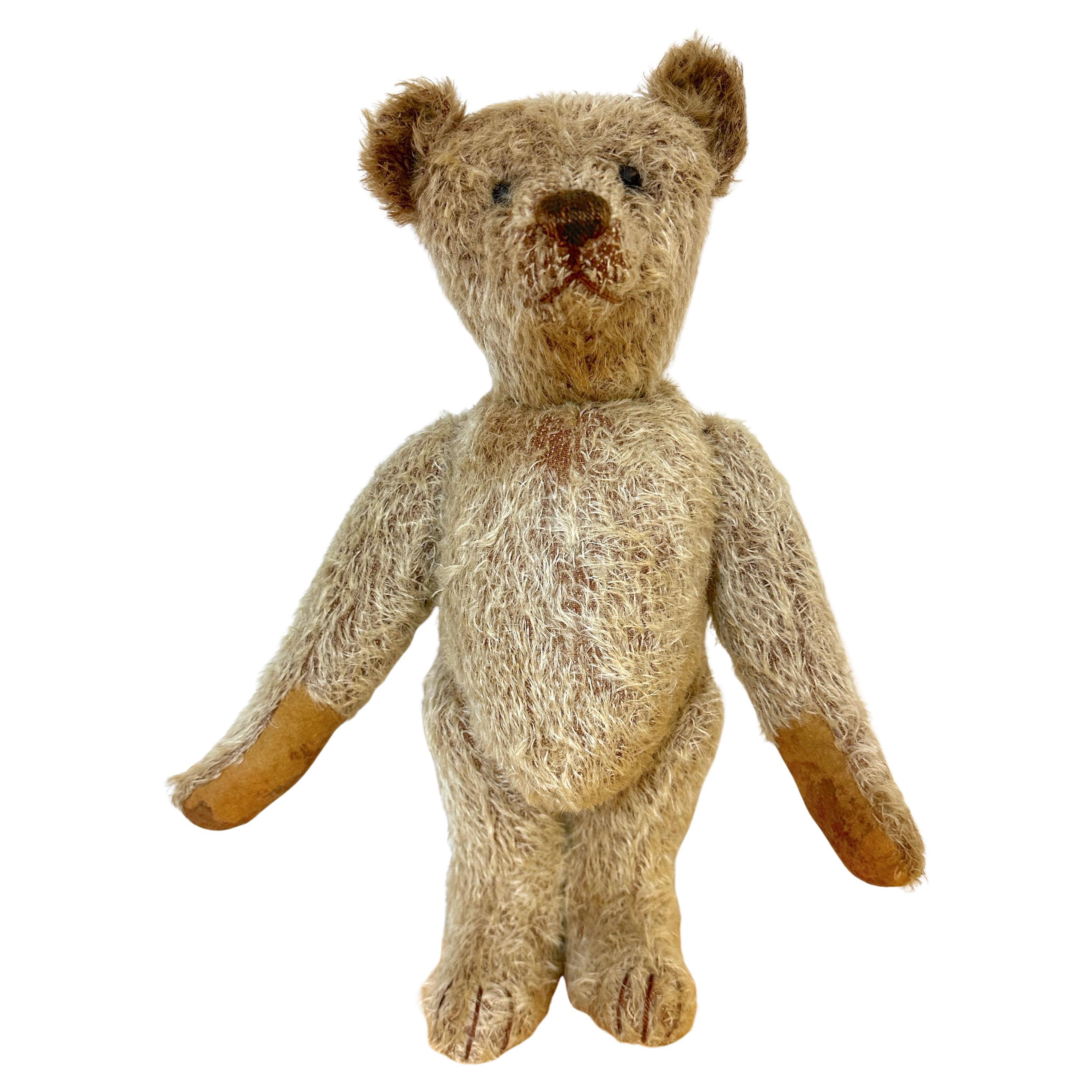 Antique Steiff Long Hair Gold Mohair Teddy Bear ' Alastair' , C. 1900s