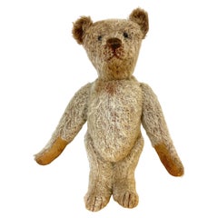 Antique Steiff Long Hair Gold Mohair Teddy Bear ' Alastair' , C. 1900s