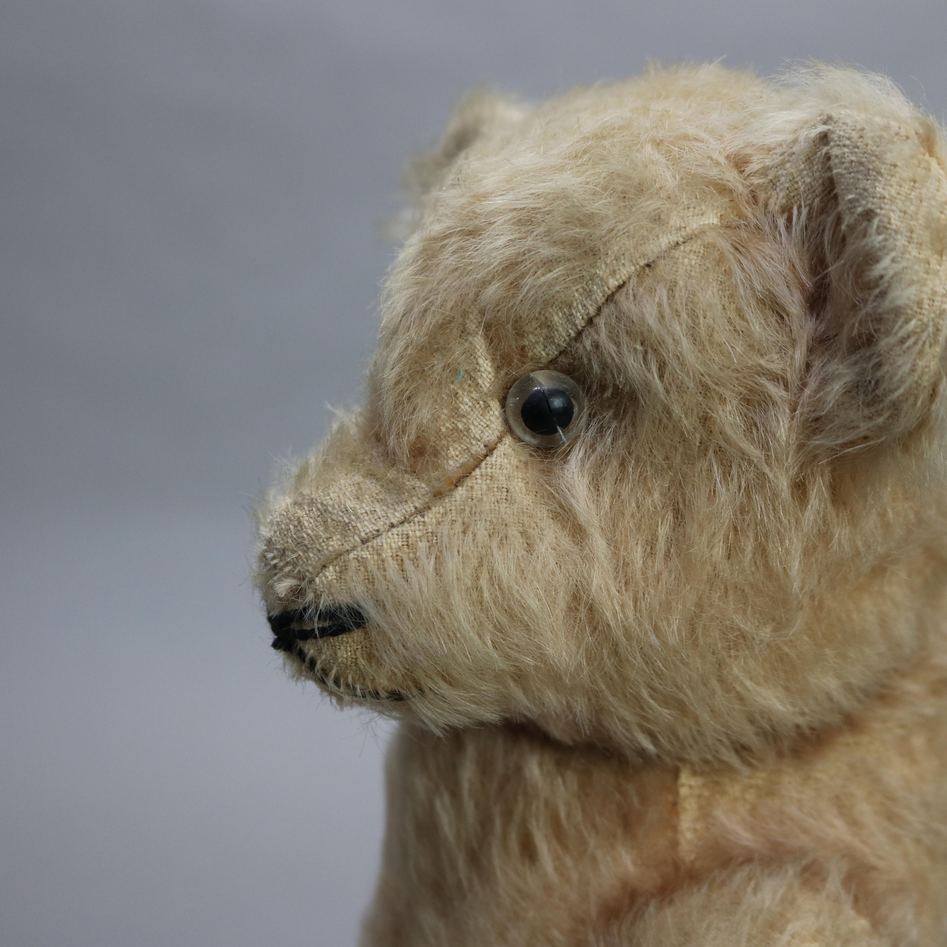 Antique Steiff Mohair Teddy Bear C1930 3