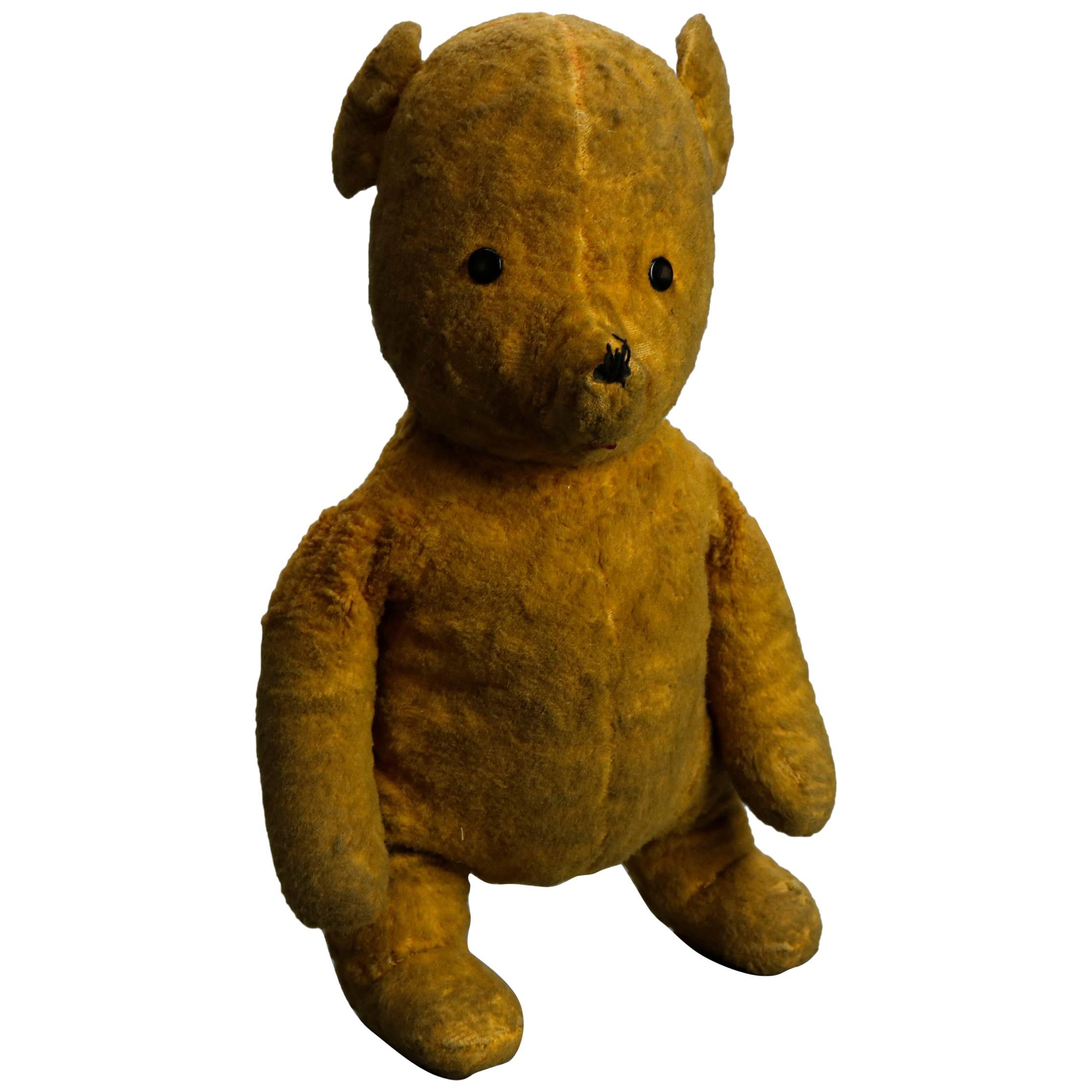 Teddy Bear in Yellow/Brown Mohair, Germany 'Steiff?', circa 1950 For Sale  at 1stDibs