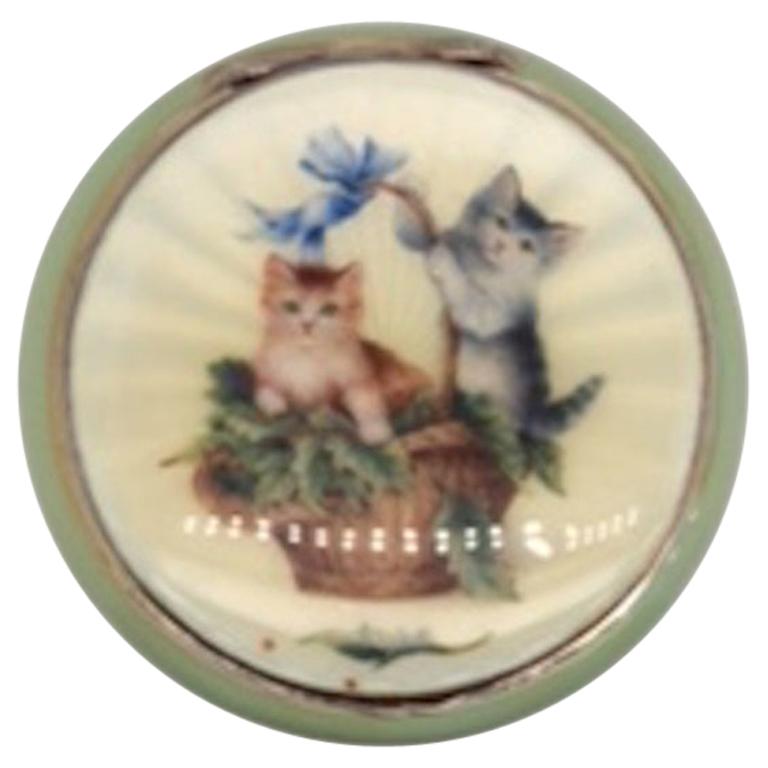 Antique Sterling and Enamel Cat Case
