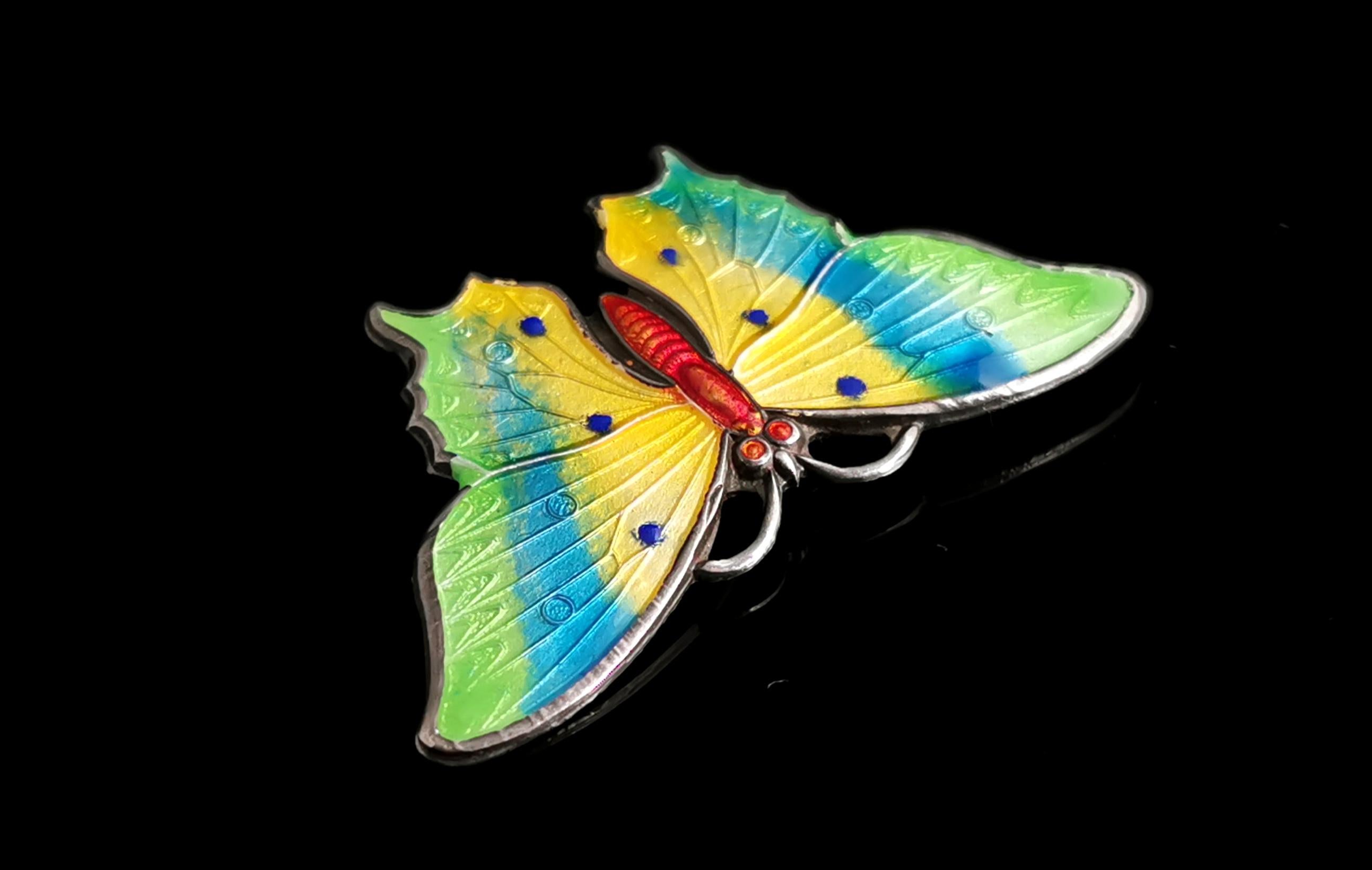 Antique Sterling Silver and Enamel Butterfly Brooch 5