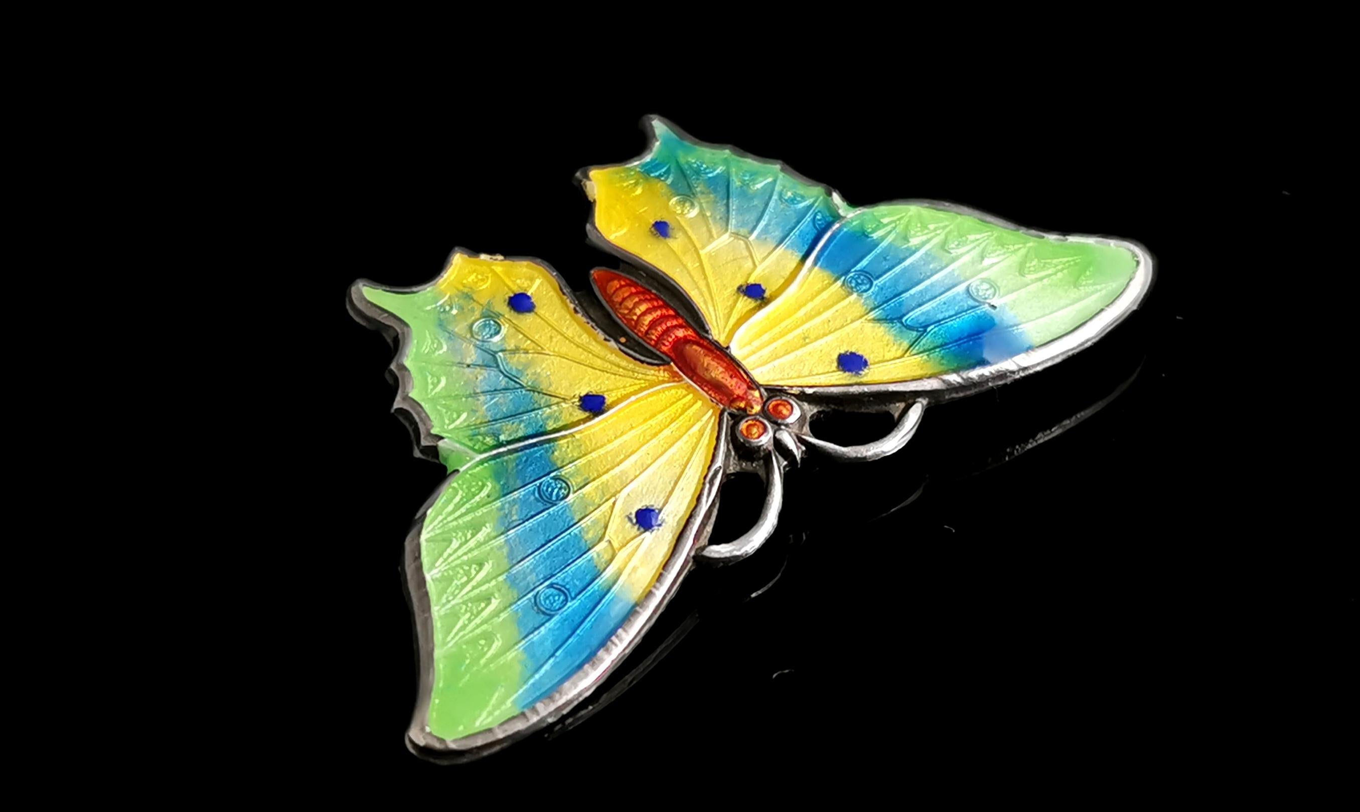 Antique Sterling Silver and Enamel Butterfly Brooch 6