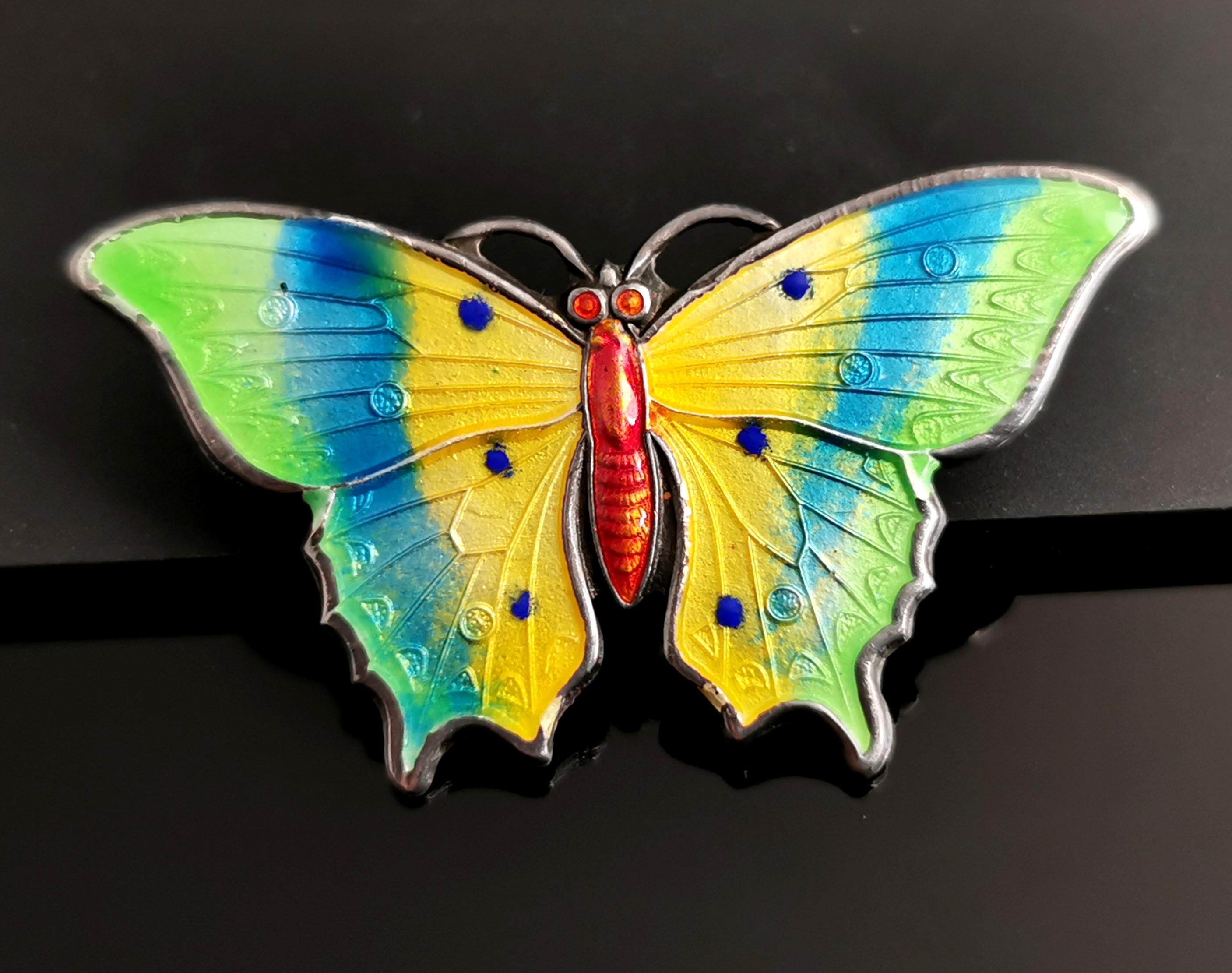 Antique Sterling Silver and Enamel Butterfly Brooch 8