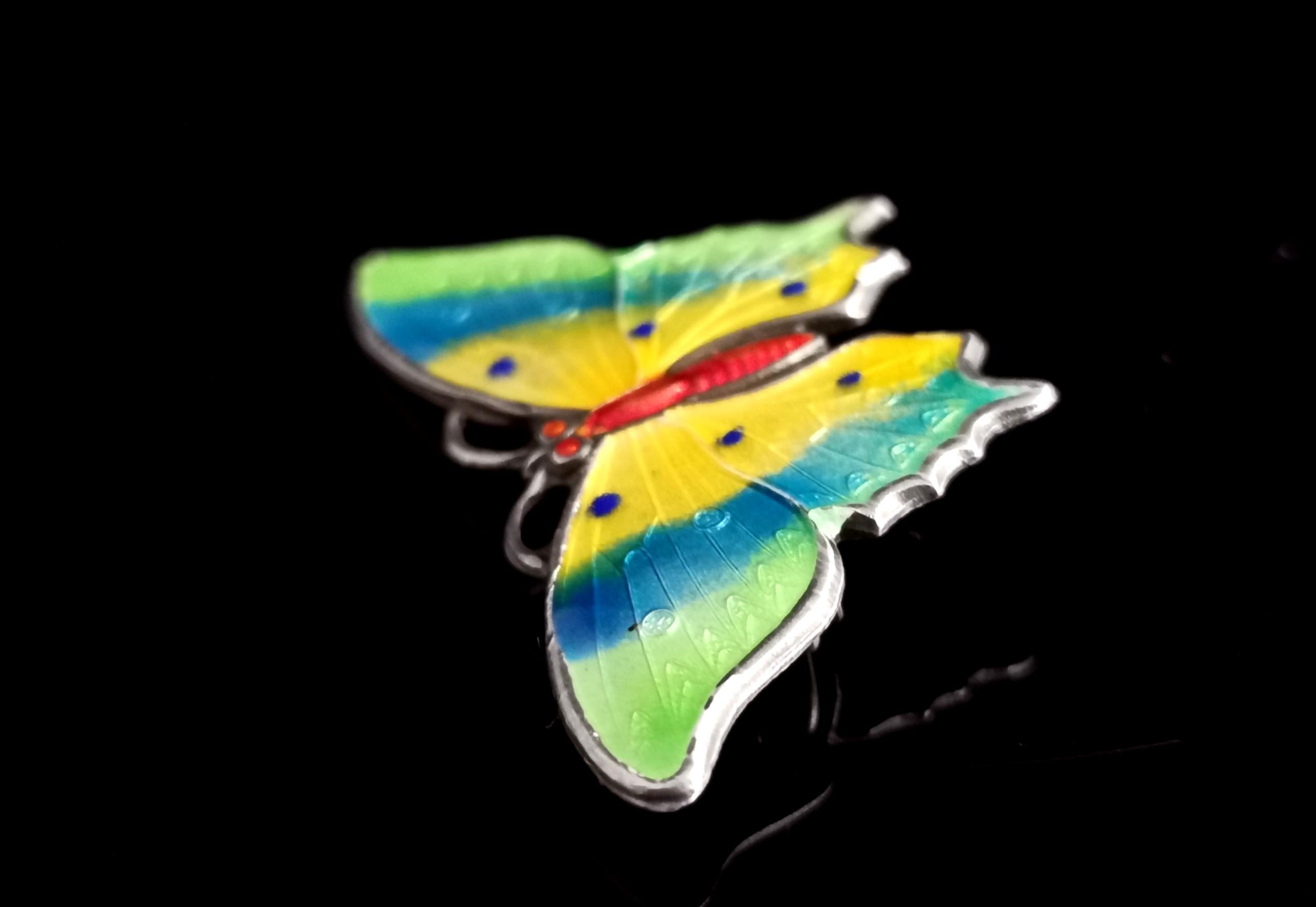 Antique Sterling Silver and Enamel Butterfly Brooch 1