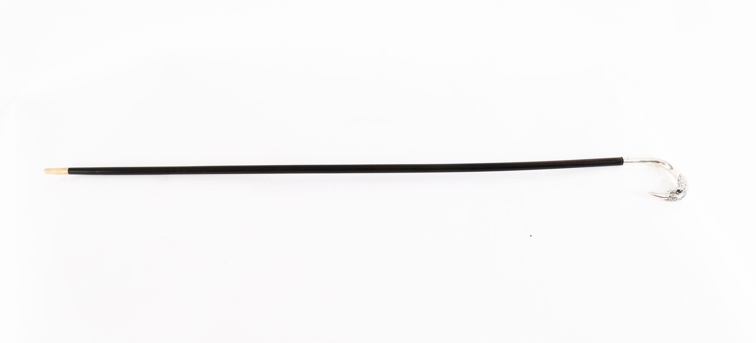 Si tratta di un bellissimo bastone da passeggio da donna in argento sterling con manico a testa di uccello e marchi in argento di Londra 1914.

Il manico d'argento presenta un'impugnatura a forma di uccello con un lungo becco e occhi di vetro