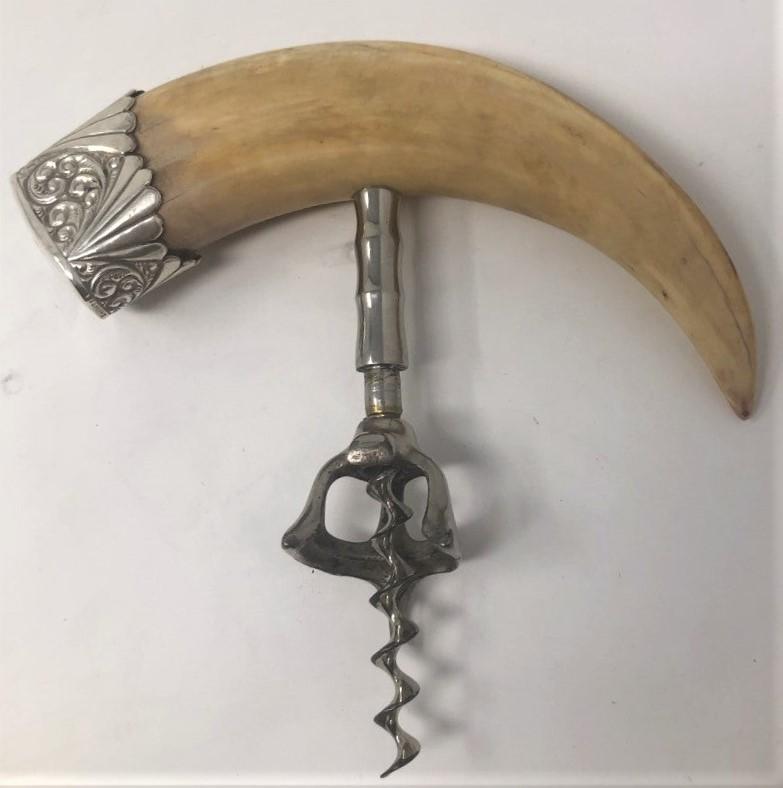 Antique sterling silver mounted boar's tusk corkscrew, circa 1900-1910.